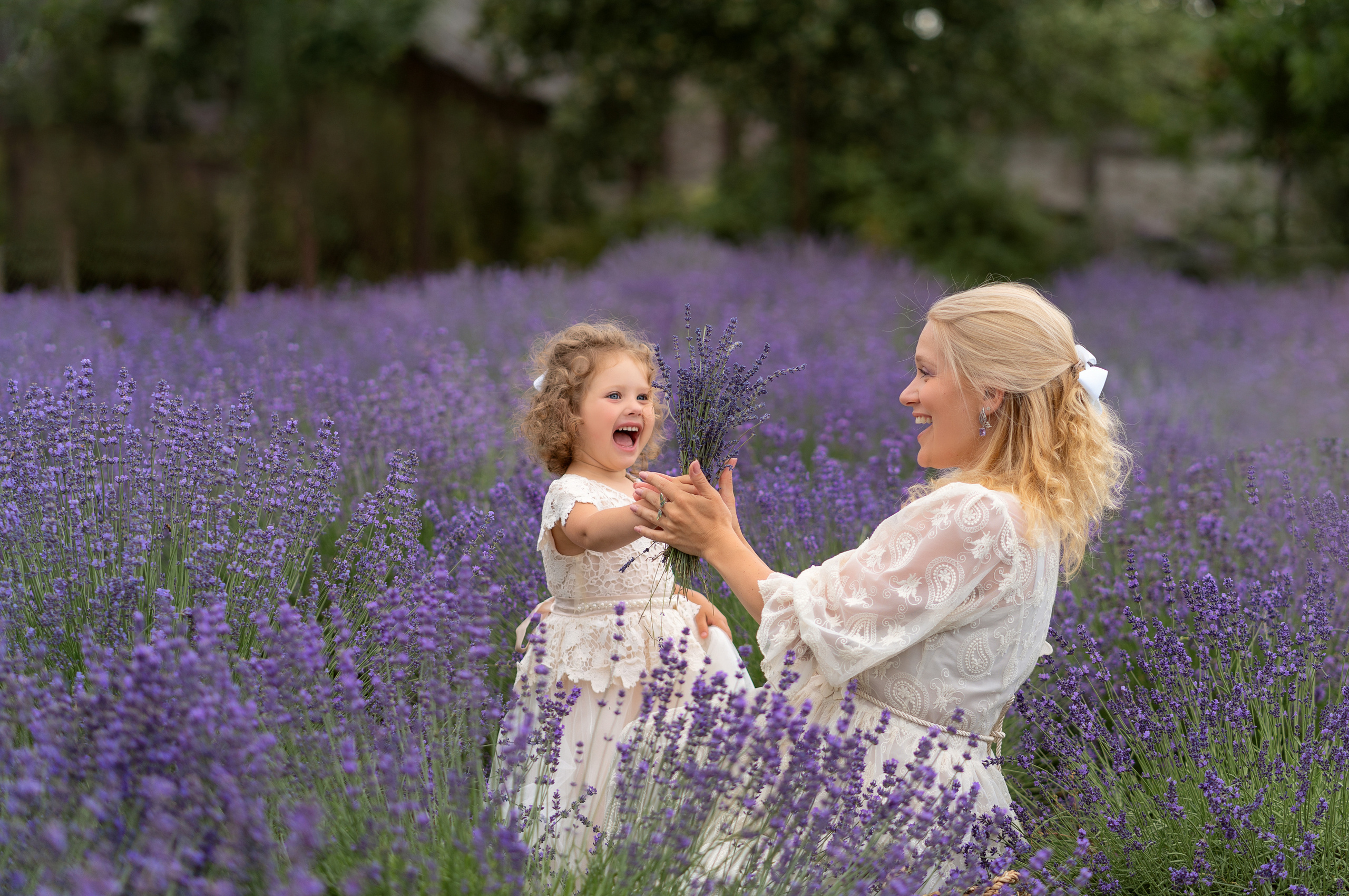 Лаванда. Семейный и свадебный фотограф Минск, Беларусь Анна Орловская