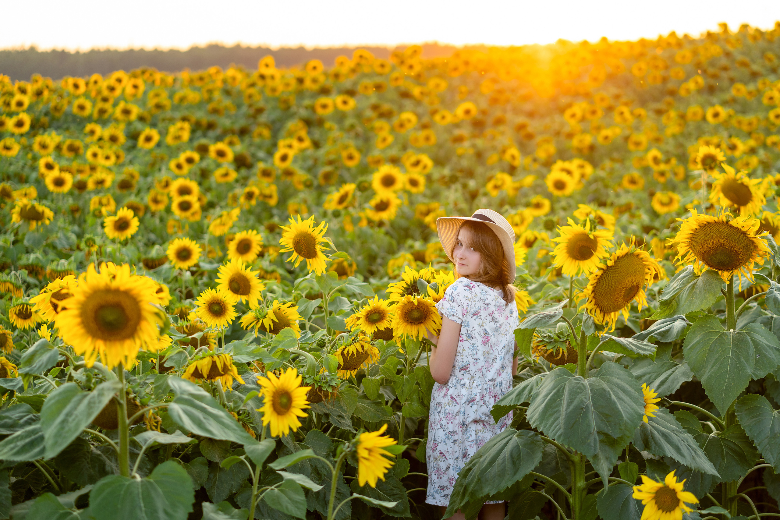 Подсолнухи. Семейный и свадебный фотограф Минск, Беларусь Анна Орловская