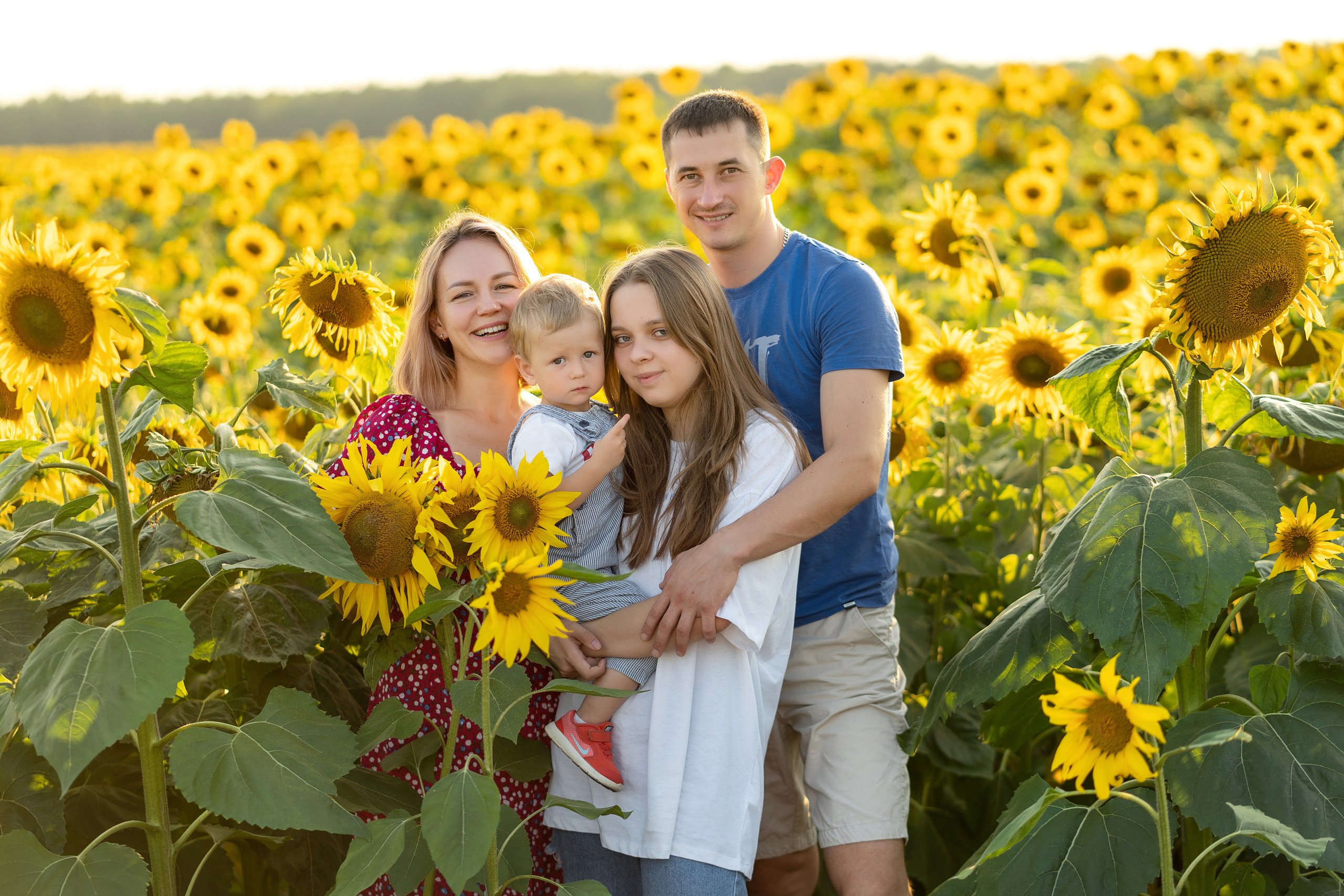 Подсолнухи. Семейный и свадебный фотограф Минск, Беларусь Анна Орловская