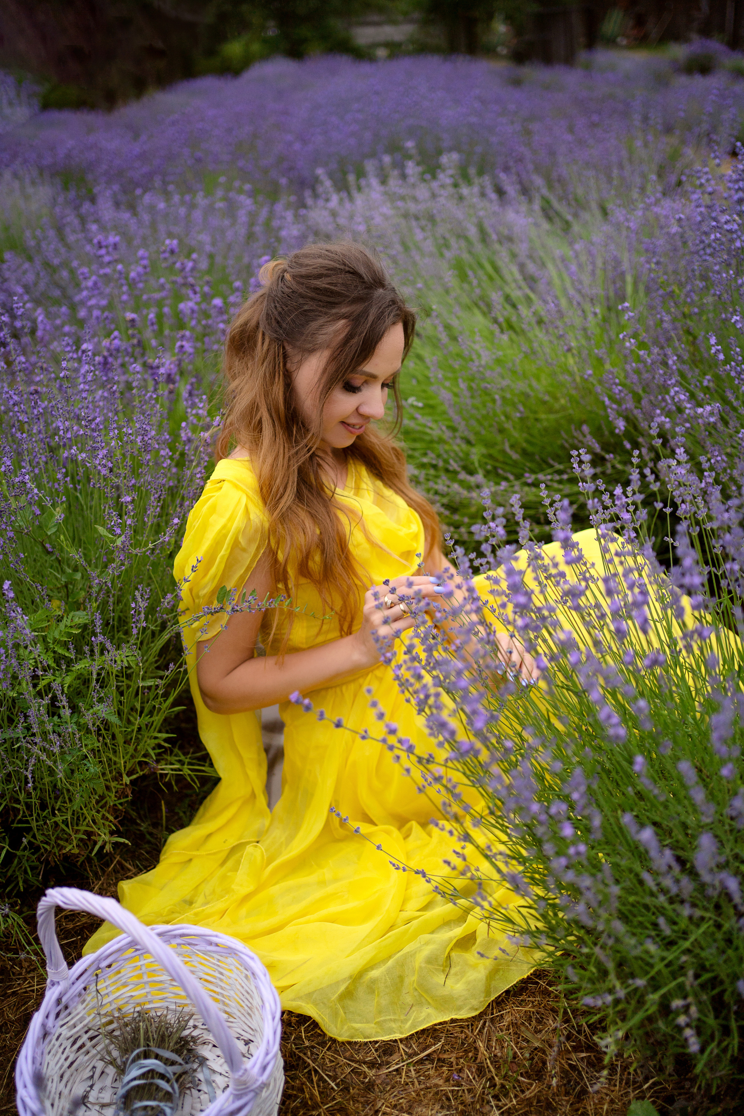 Фотодень в лаванде. Семейный и свадебный фотограф Минск, Беларусь Анна Орловская