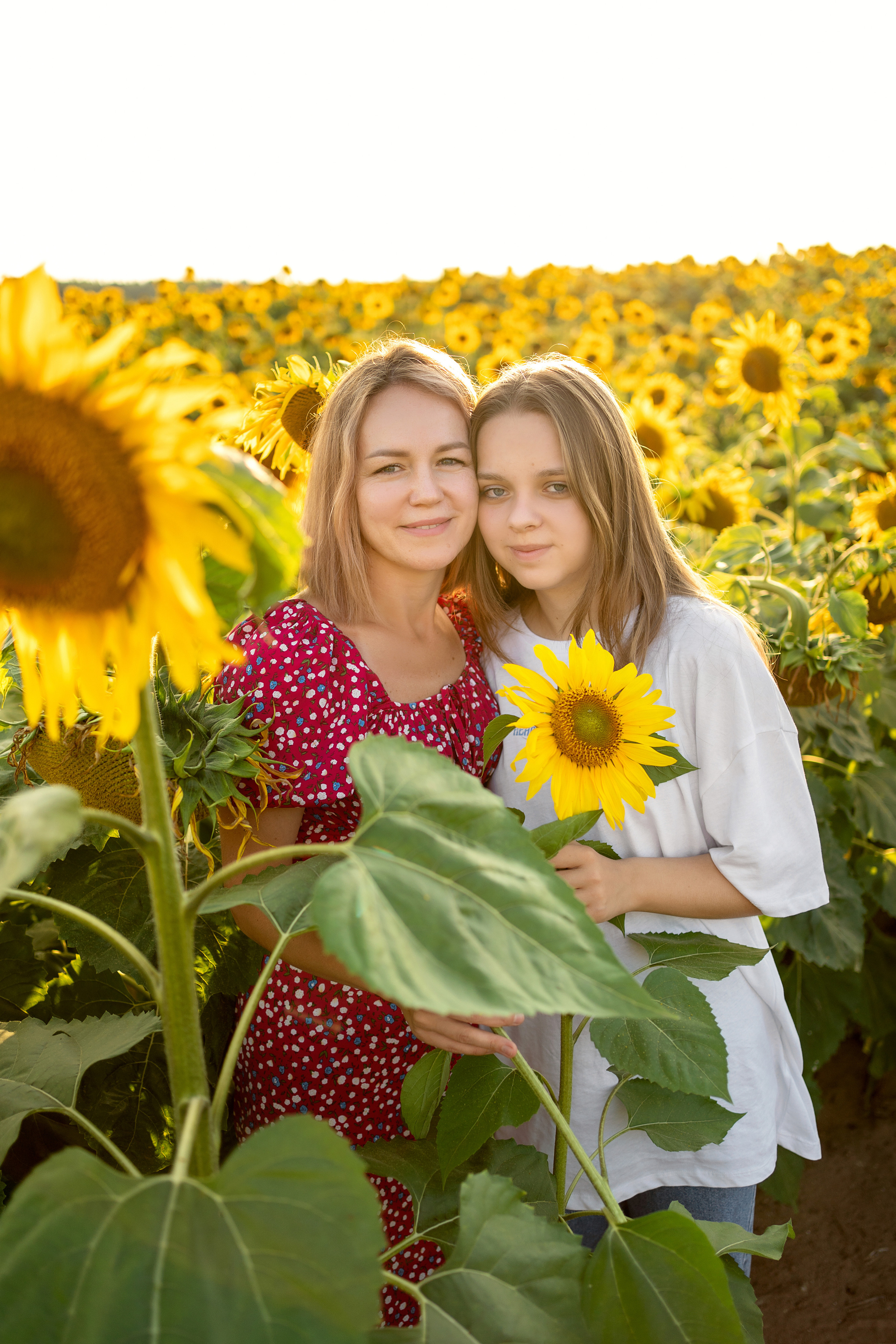 Подсолнухи. Семейный и свадебный фотограф Минск, Беларусь Анна Орловская
