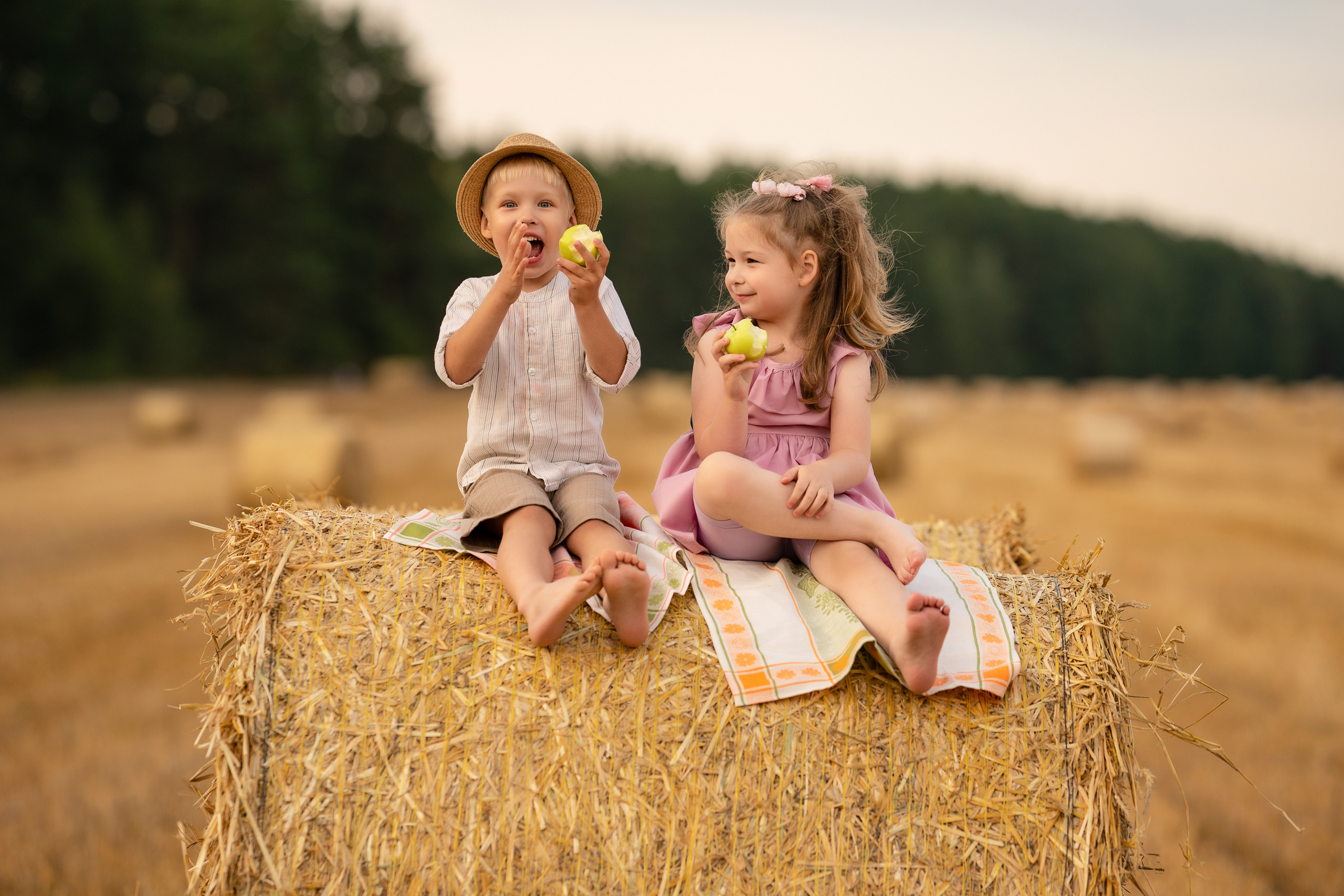 Пикник в поле. Семейный и свадебный фотограф Минск, Беларусь Анна Орловская