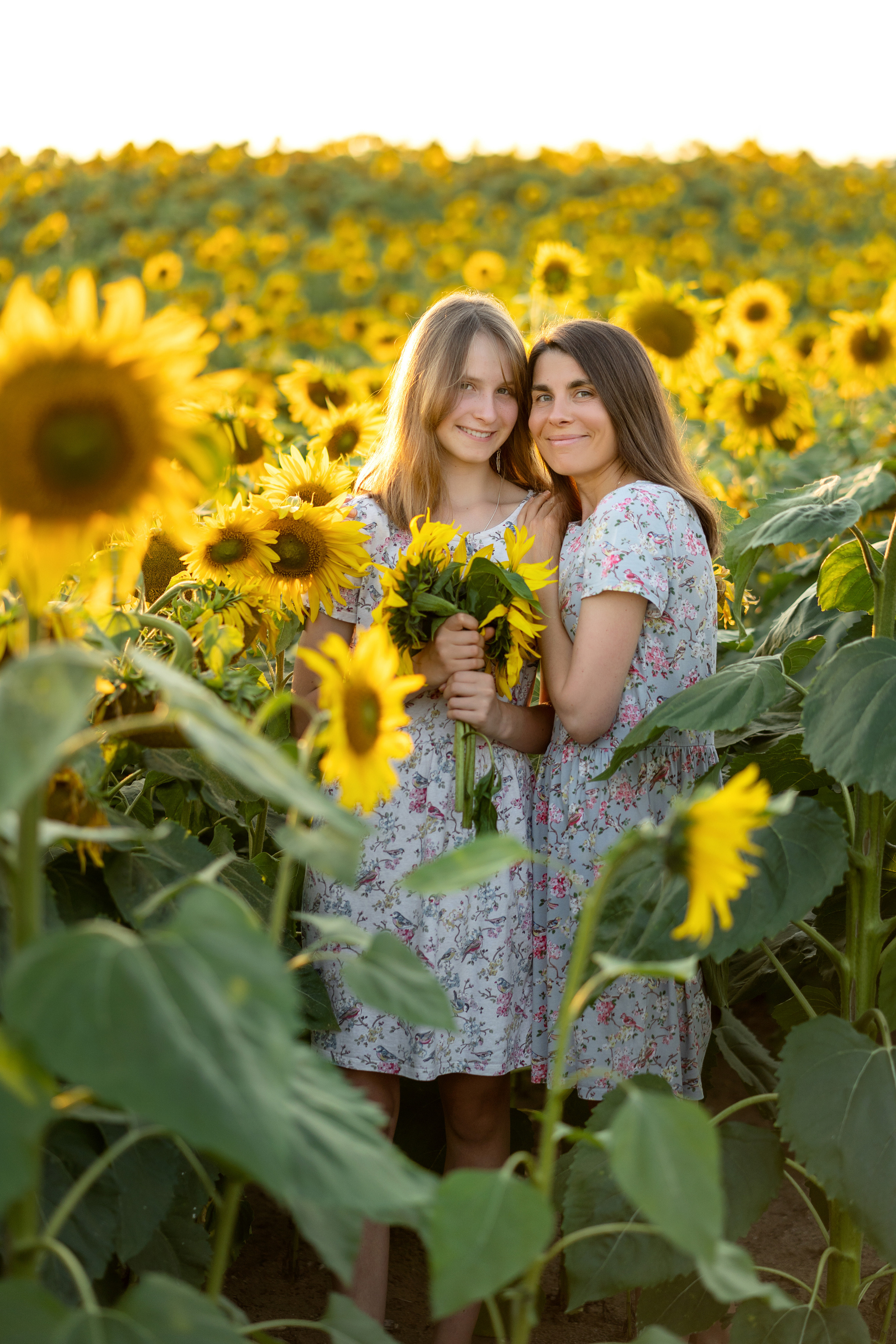Подсолнухи. Семейный и свадебный фотограф Минск, Беларусь Анна Орловская