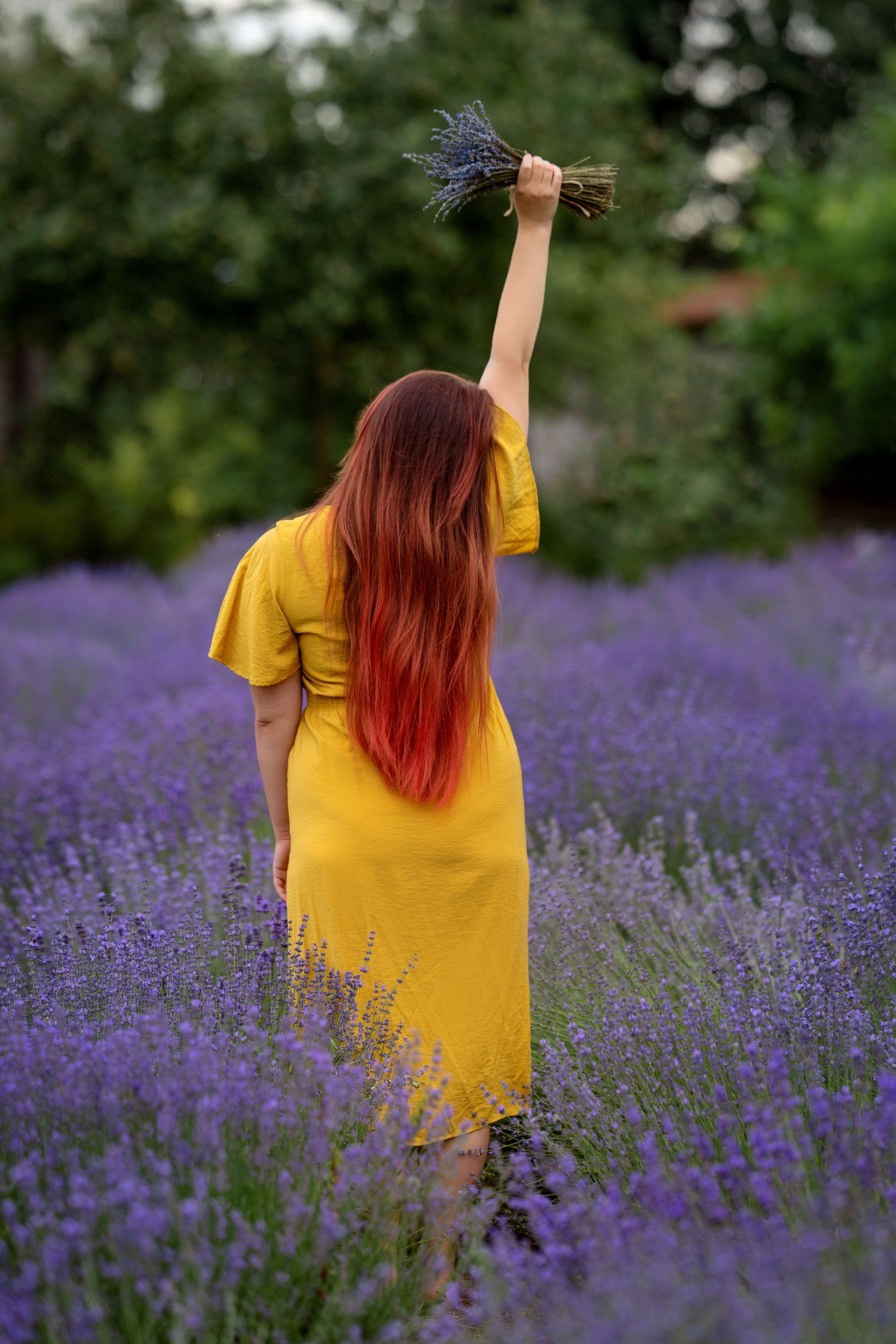 Фотодень в лаванде. Семейный и свадебный фотограф Минск, Беларусь Анна Орловская