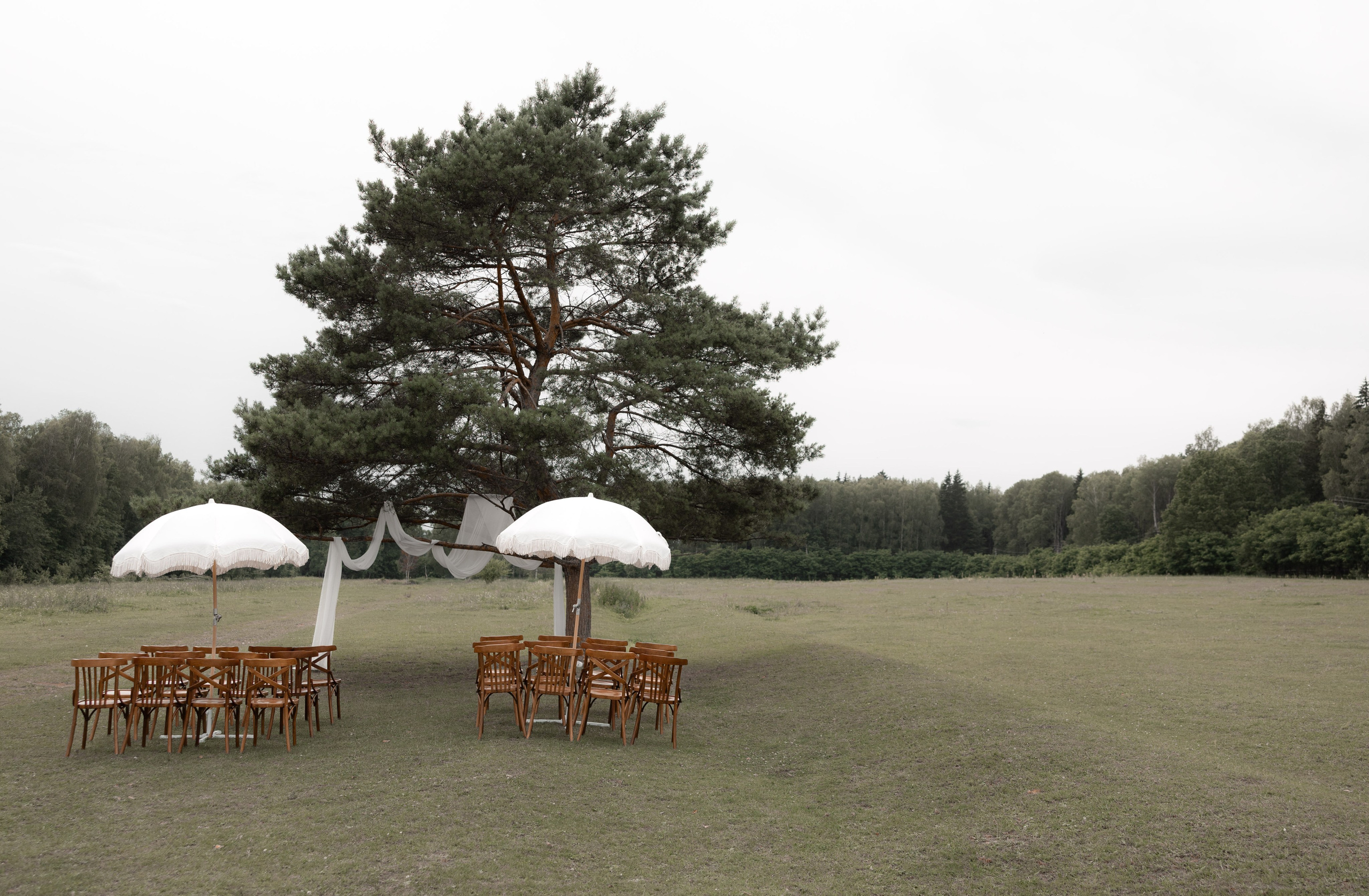 Артур и Таисия. Свадебный фотограф Тула Москва СПБ / Сёмина Дарья