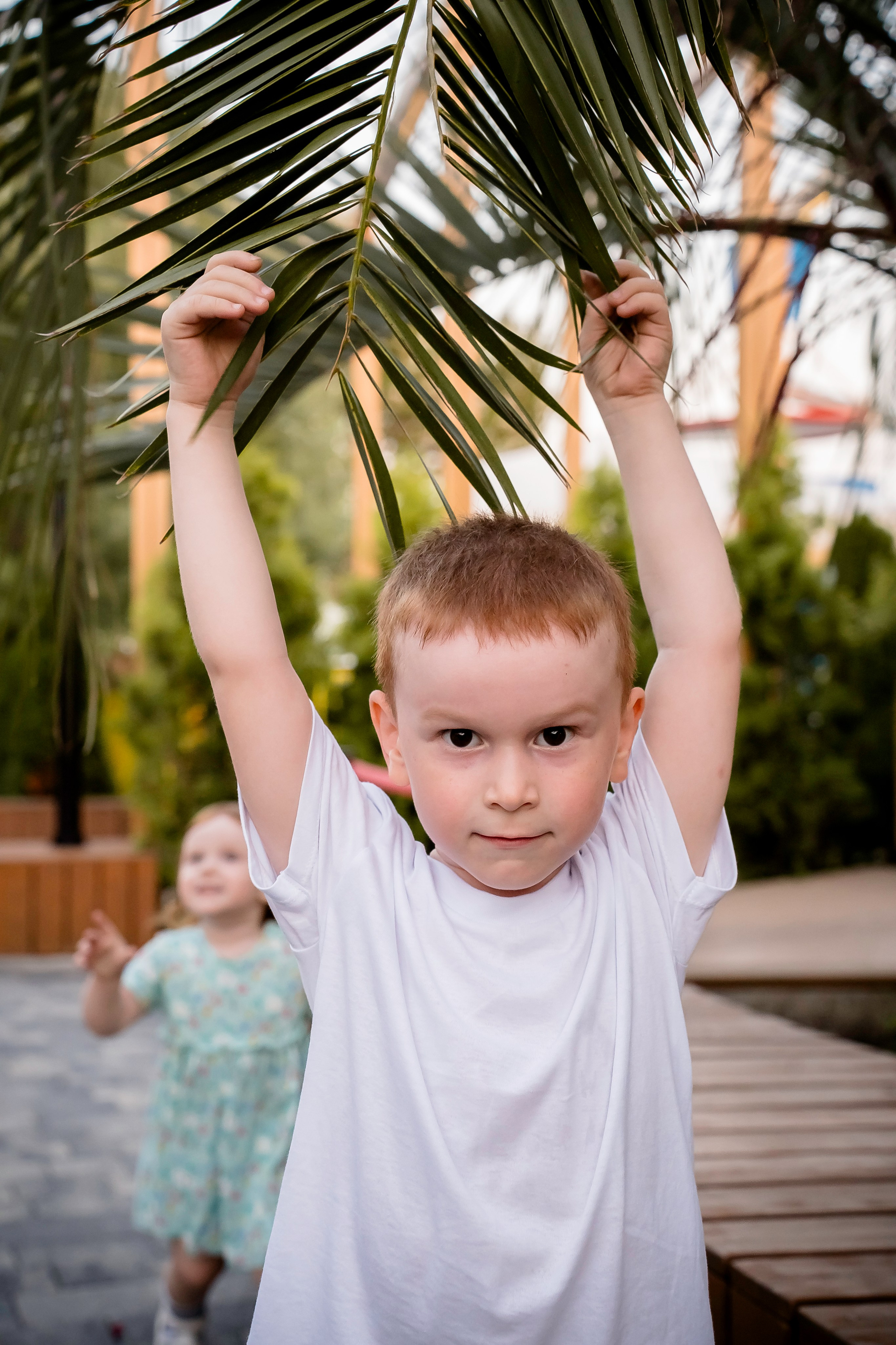 Солнечные лучики. Фотограф Ирина Ликсунова