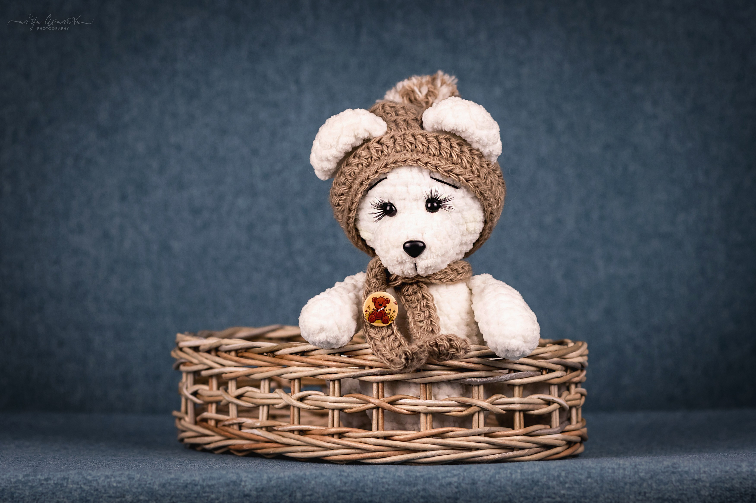 Бирюзовый фон. Фотограф анималист Аня Ливанова | Рыбинск