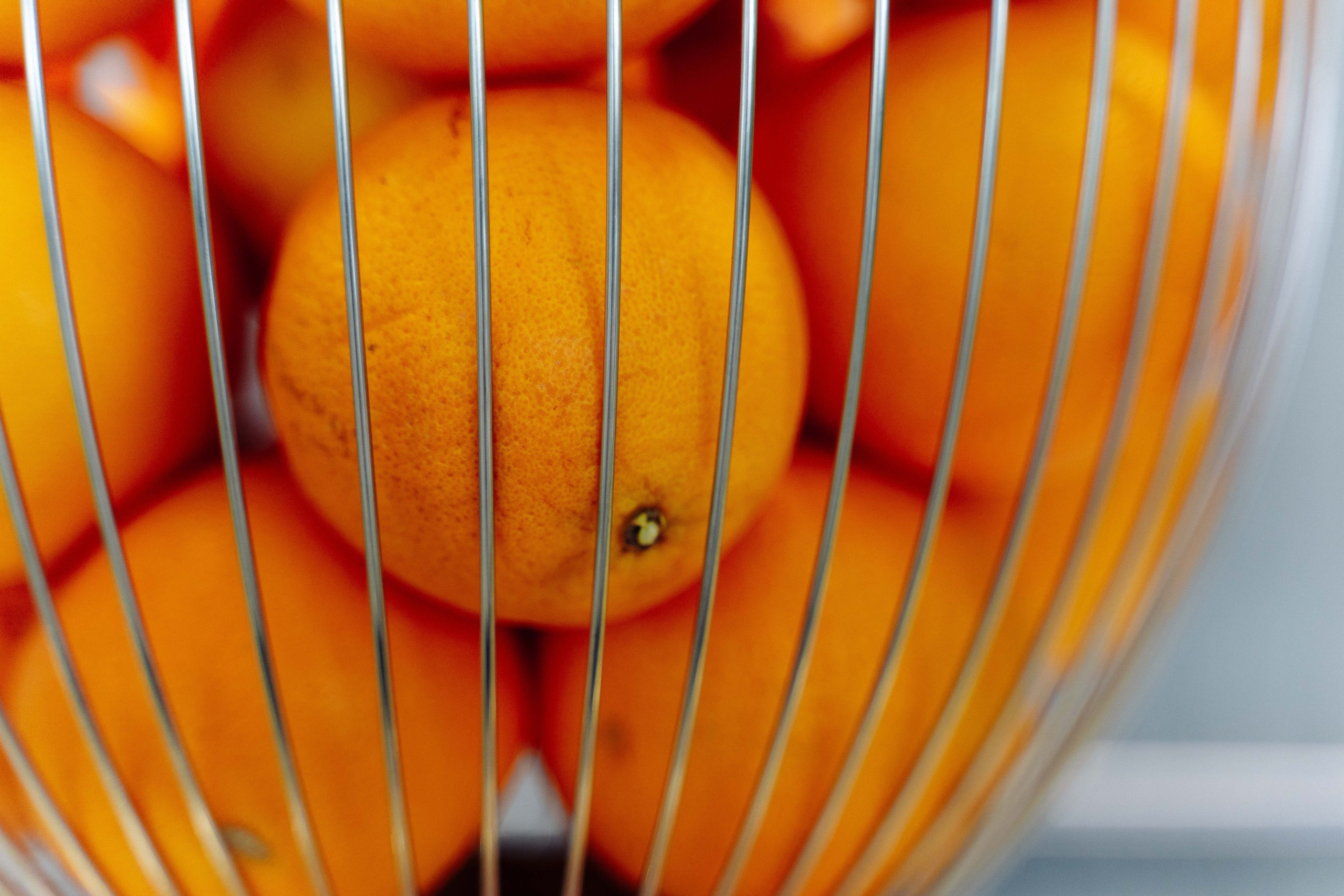 Открытие I Бизнес-зал S7 Новосибирск. Фотограф Новосибирск I Дамдинов Бато