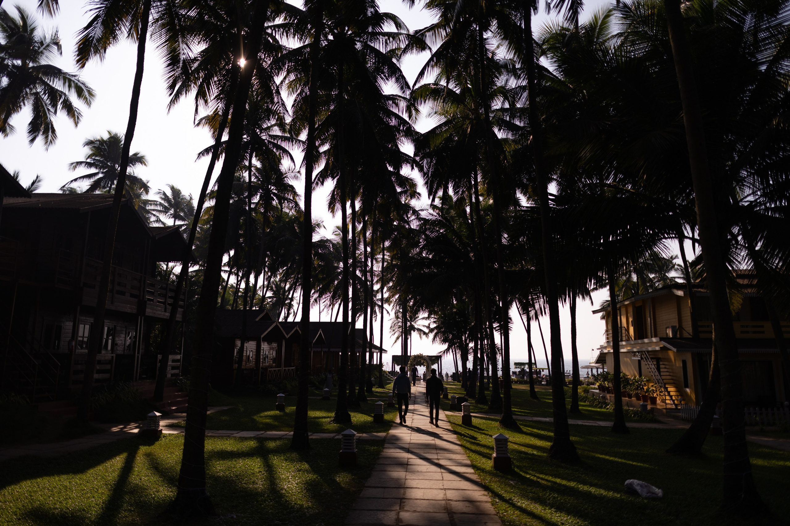 ГОА 2024. Руслан Плахтеев