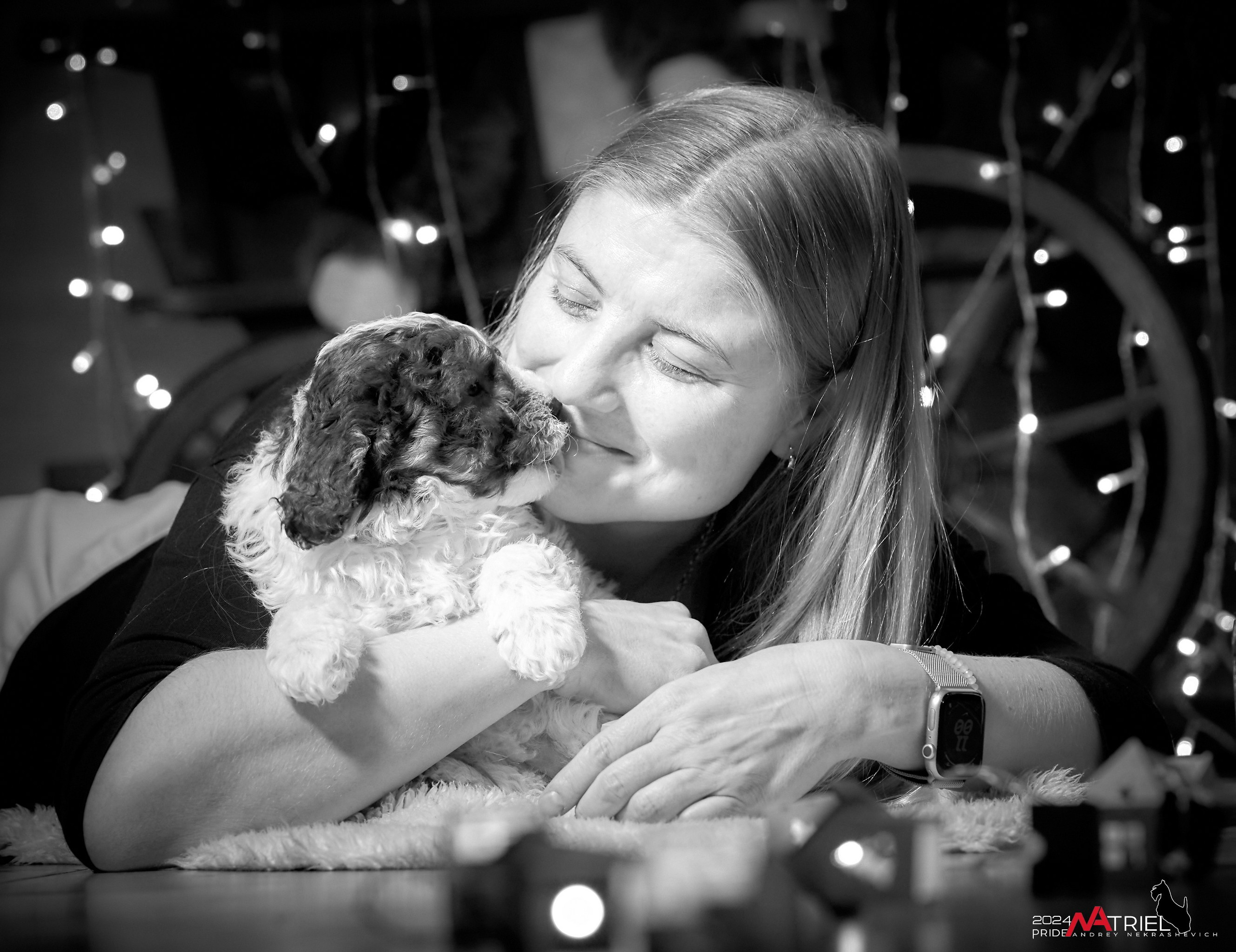 Съемка щенков лаготто дома с мобильным светом