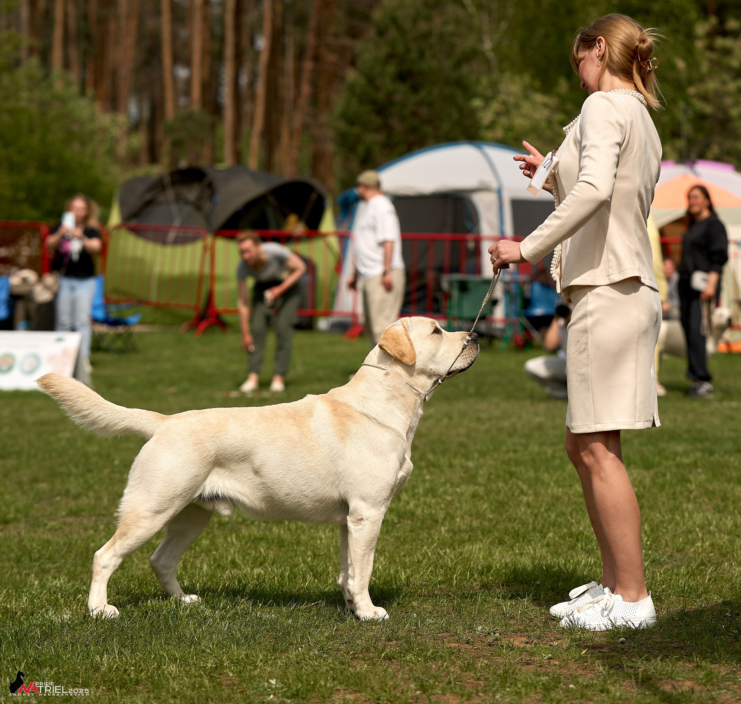 Выставка собак Суздаль-Владимир