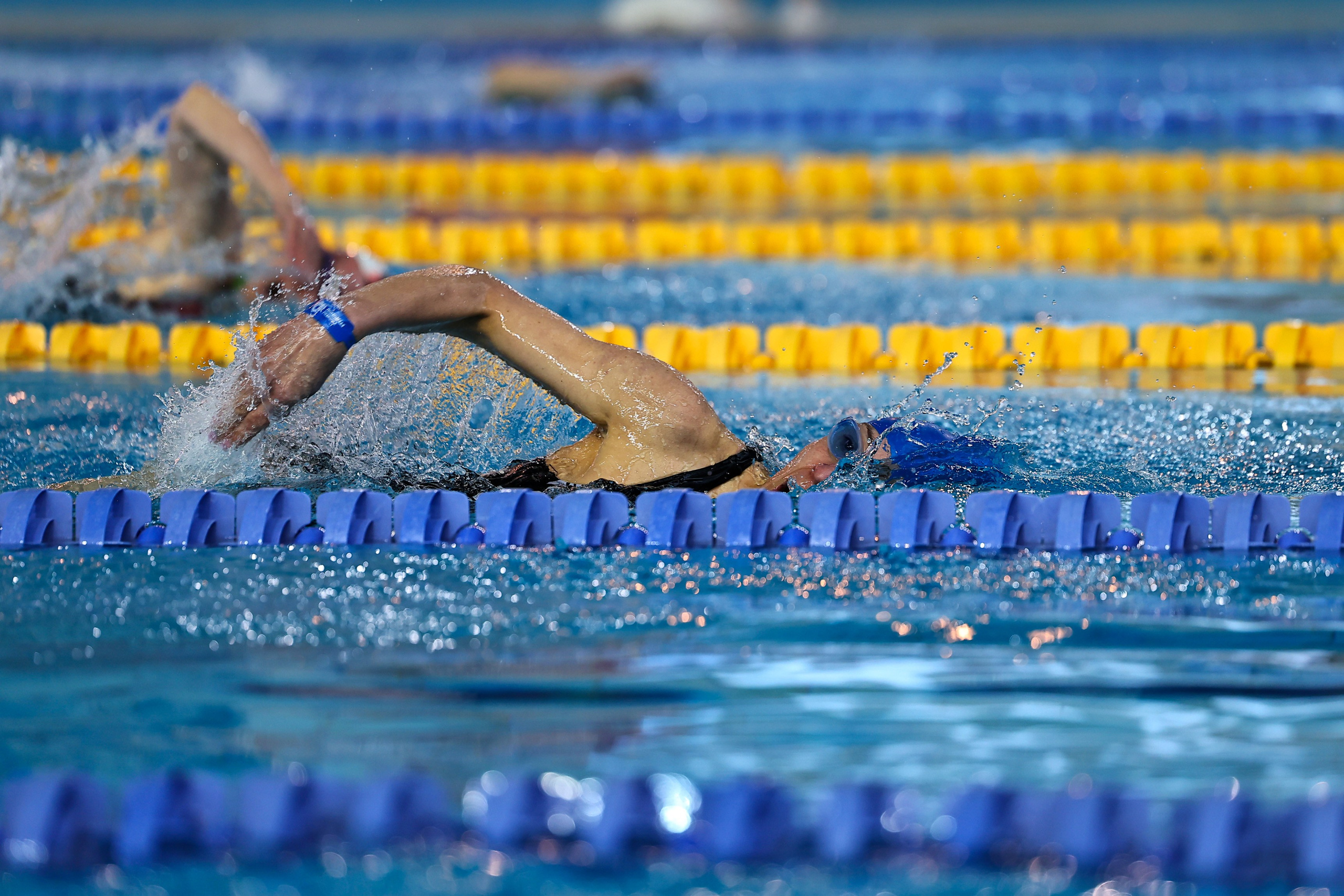 ДЗМ Плавание 2026. Фототерапевт Ева Бунеева