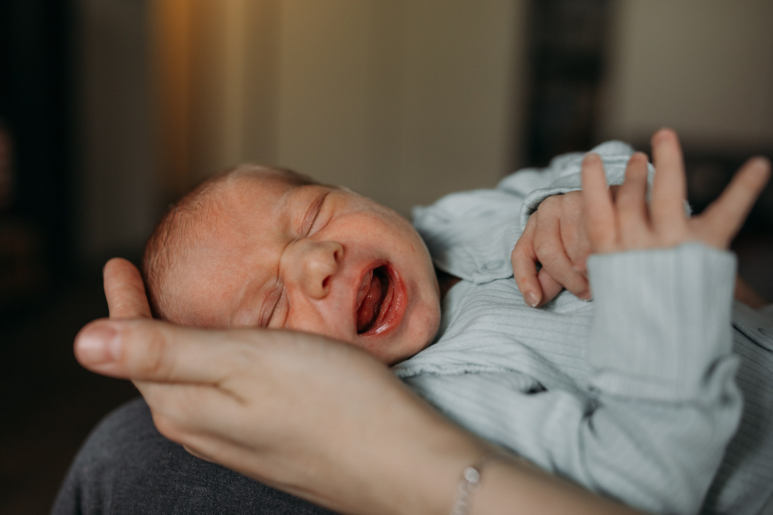 Андрей, Юля, Гриша, Федя. Семейный фотограф в Волгограде Надежда Головко