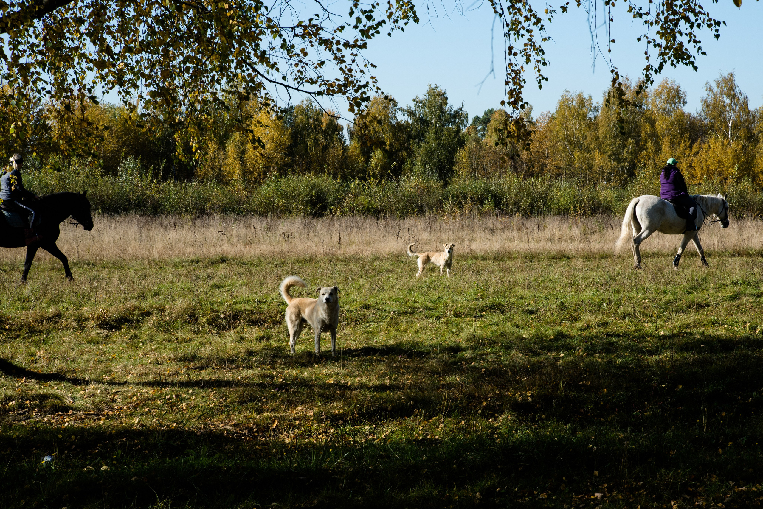 Singles 2. Alyona Kochetkova | Photographer and photography educator