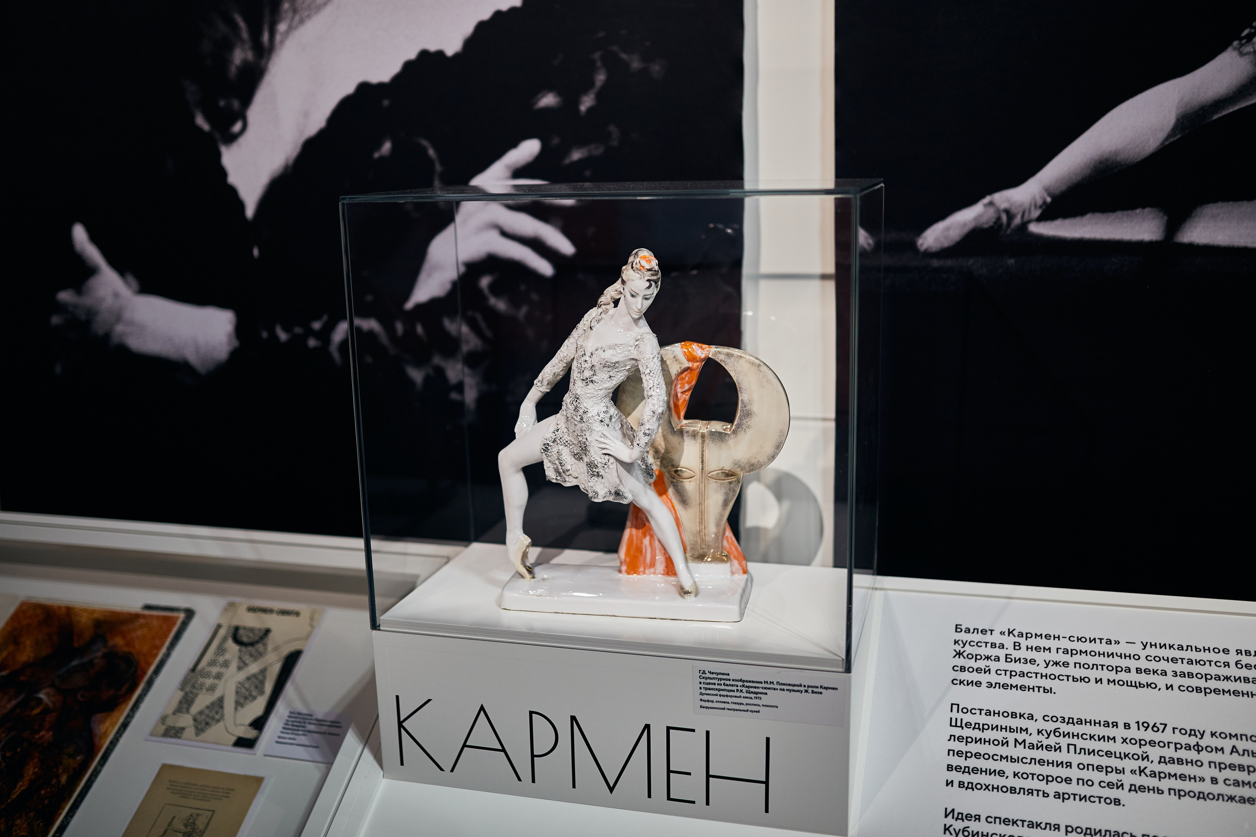 Выставка «Майя Плисецкая. Полюс магии». Даниил Гузиенко — репортажный фотограф в Туле