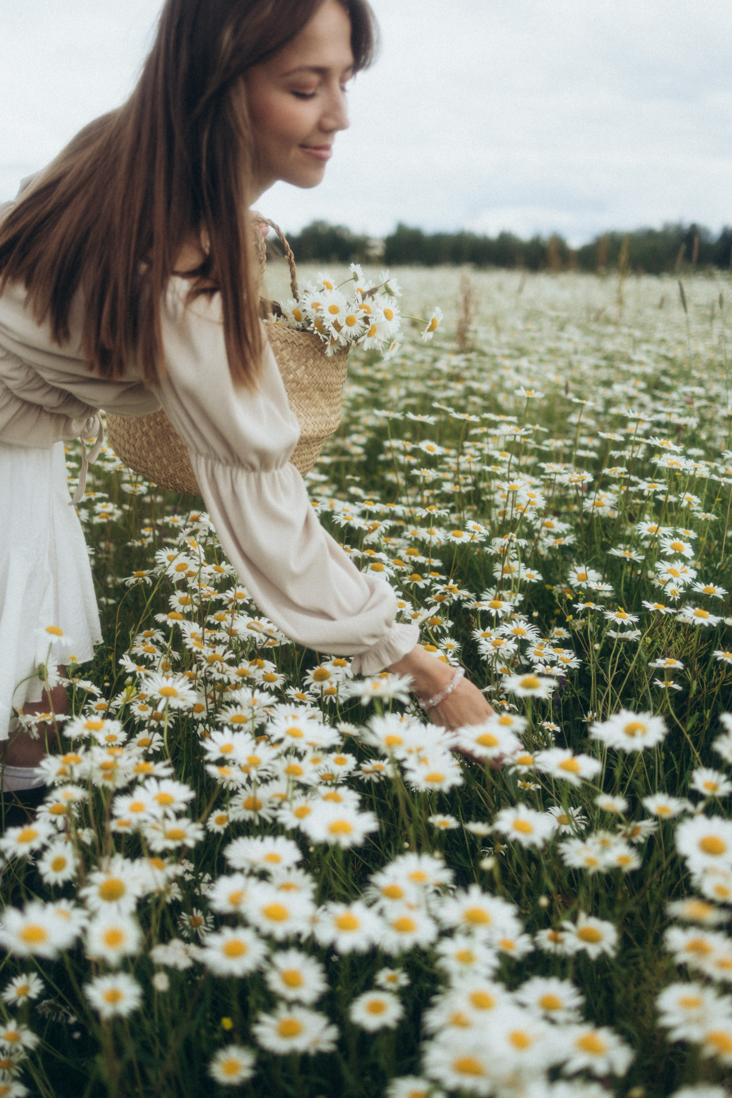 Ромашковое море. Фотограф Валерия Ковпак. Москва. Химки. Куркино
