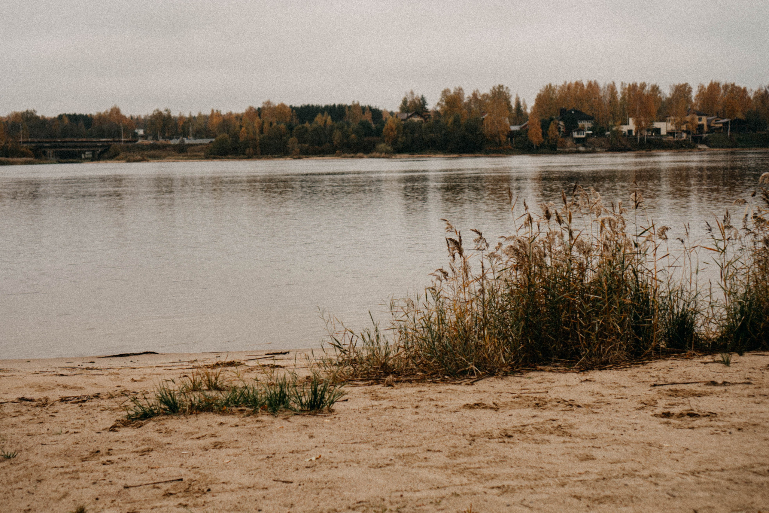 Осеняя. Профессиональный фотограф, Санкт-Петербург — Виктория Богомолова