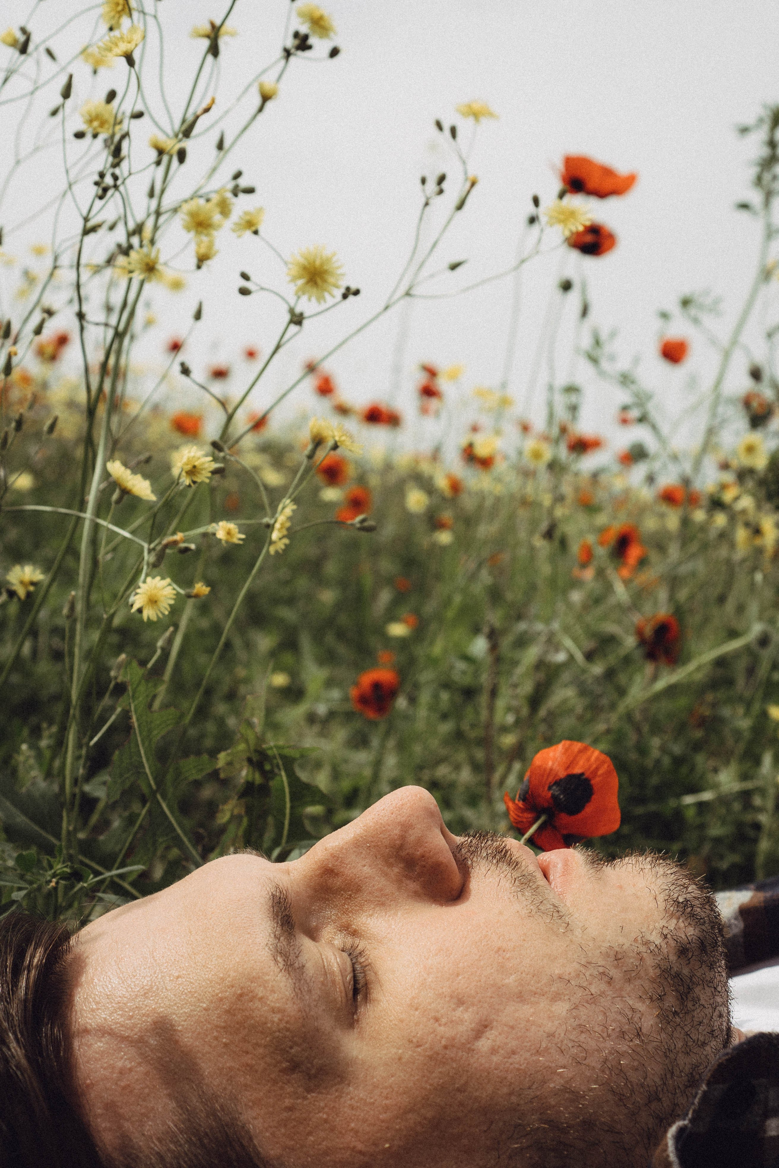 Маки. Профессиональный фотограф, Санкт-Петербург — Виктория Богомолова