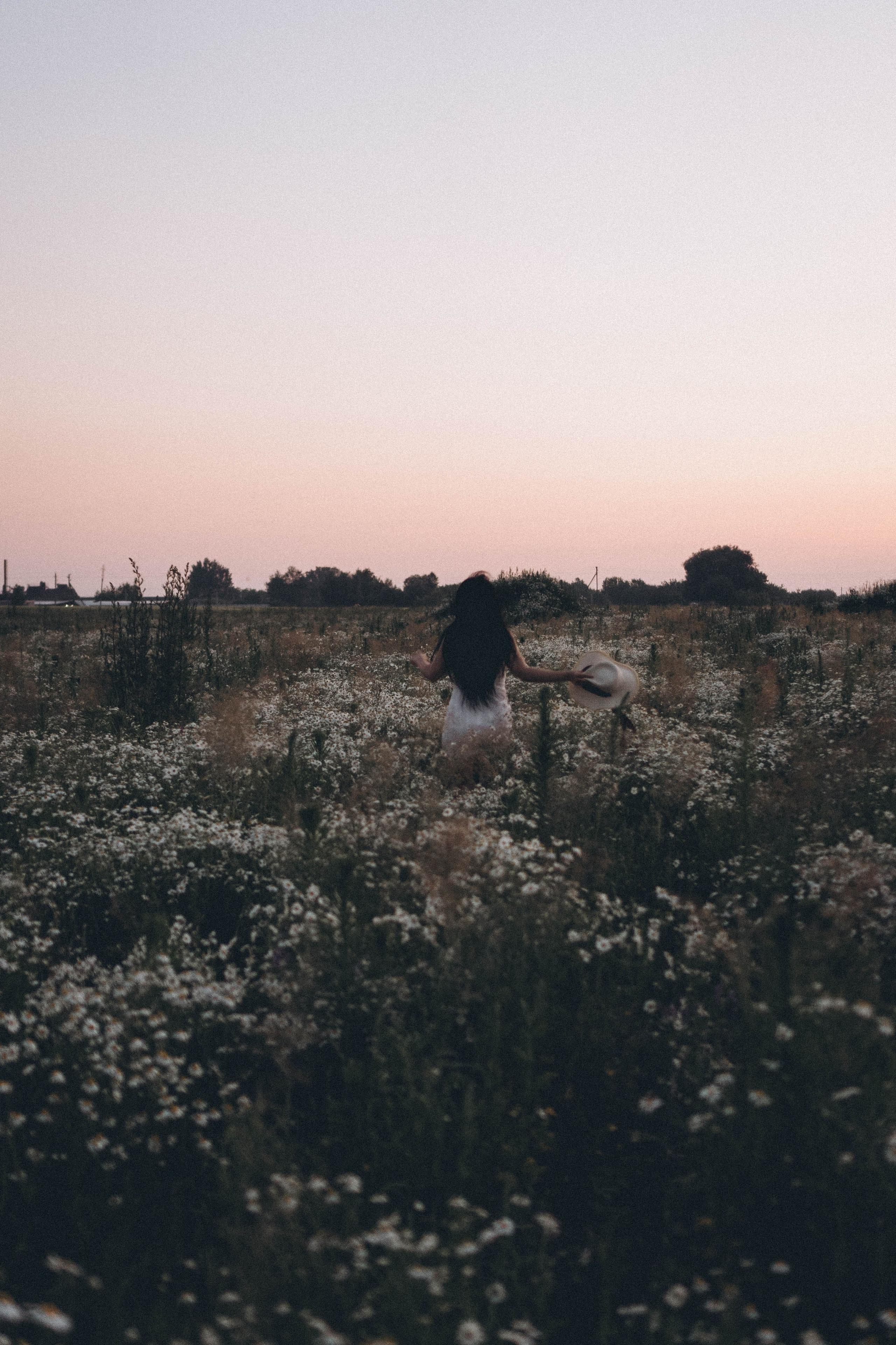Ромашковое поле. Профессиональный фотограф, Санкт-Петербург — Виктория Богомолова