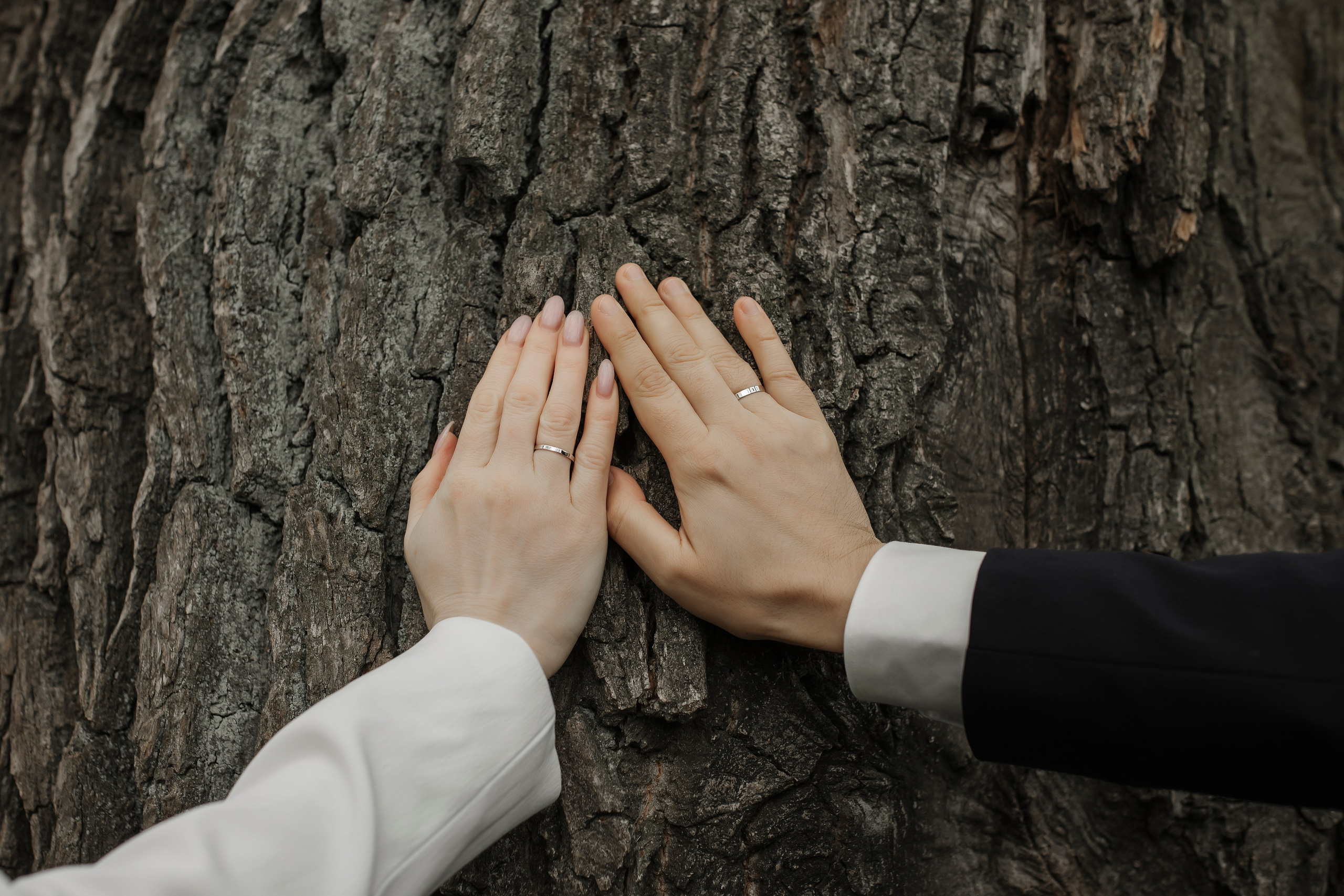 Алексей & Виолетта. Свадебный и семейный фотограф Санкт-Петербурга Мария Родионова