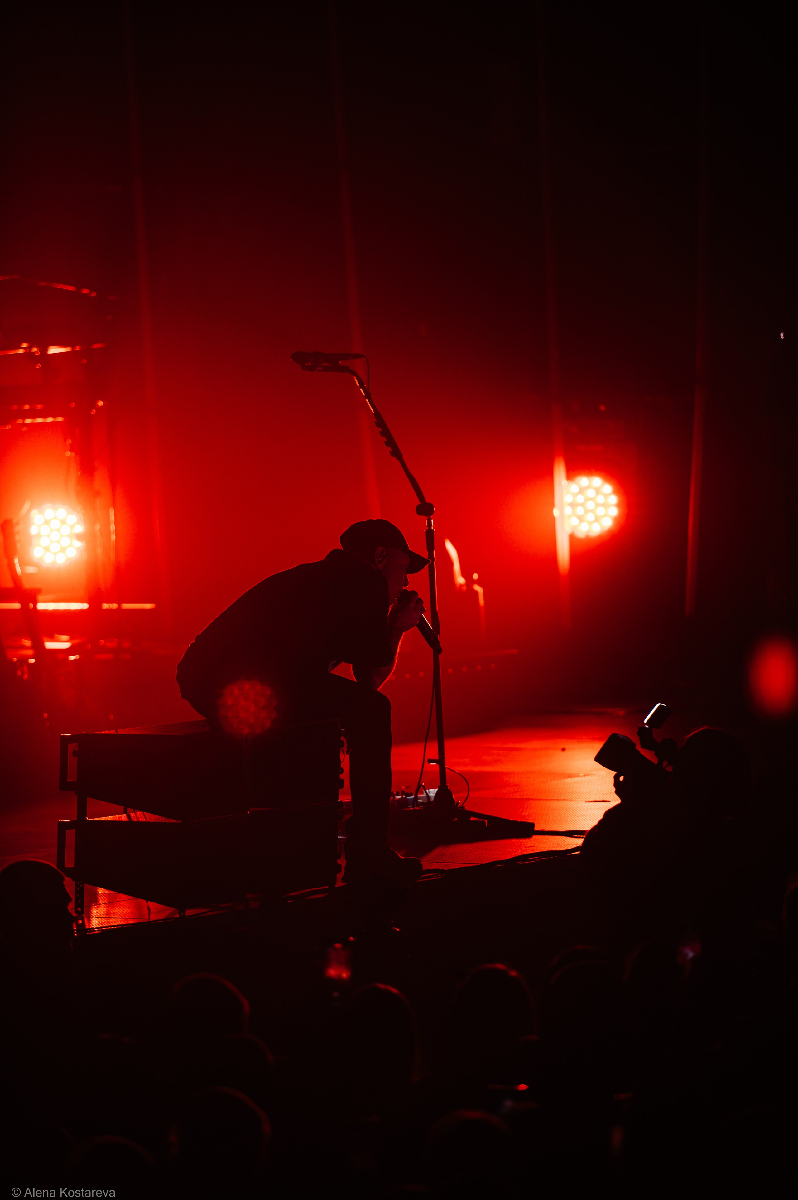 Звери. Алена Костарева. Фотограф в Ростове-на-Дону