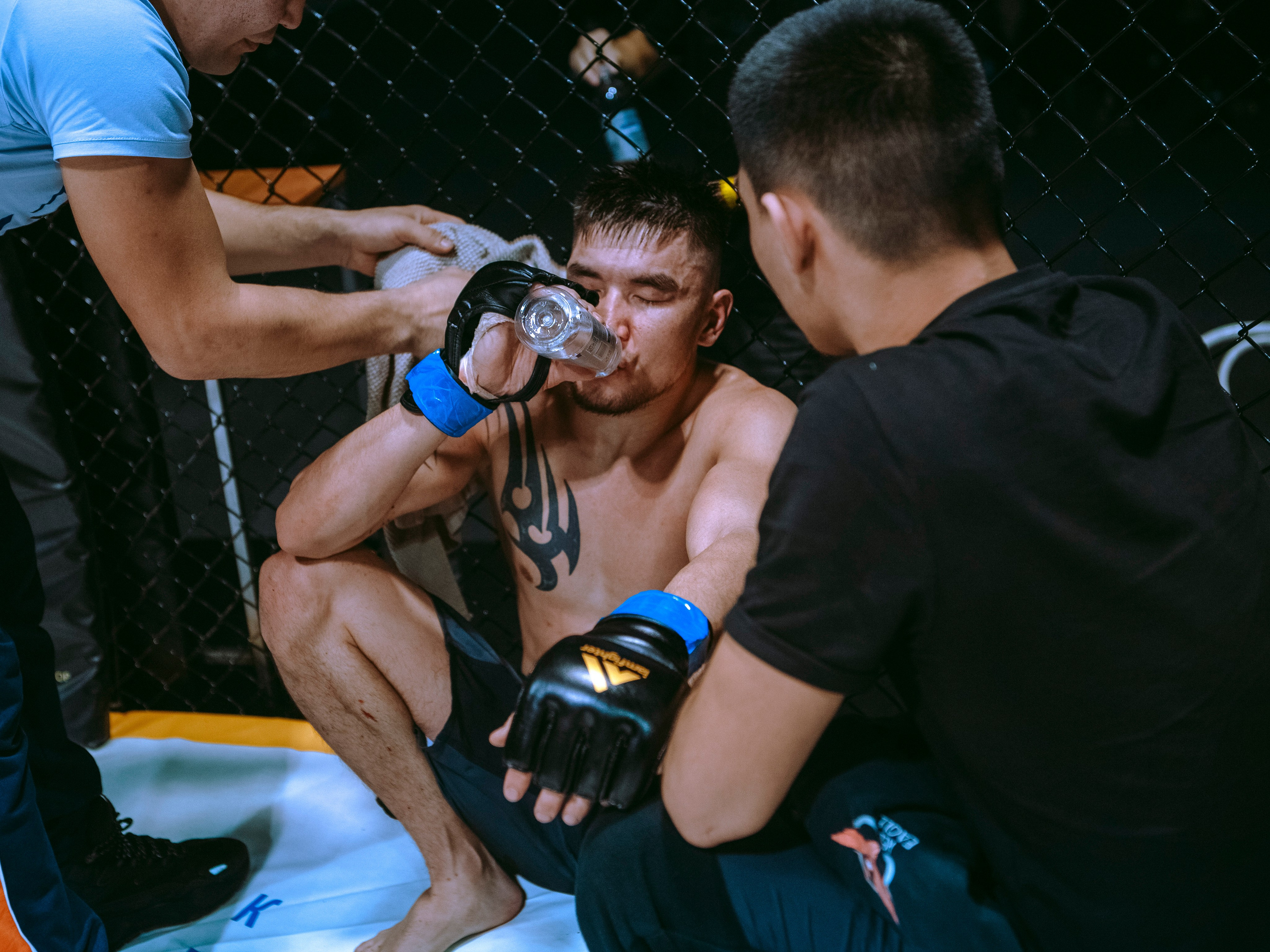 SFL 17 | Siberian Fighting League. Портретный фотограф в Москве Дарья Цезария