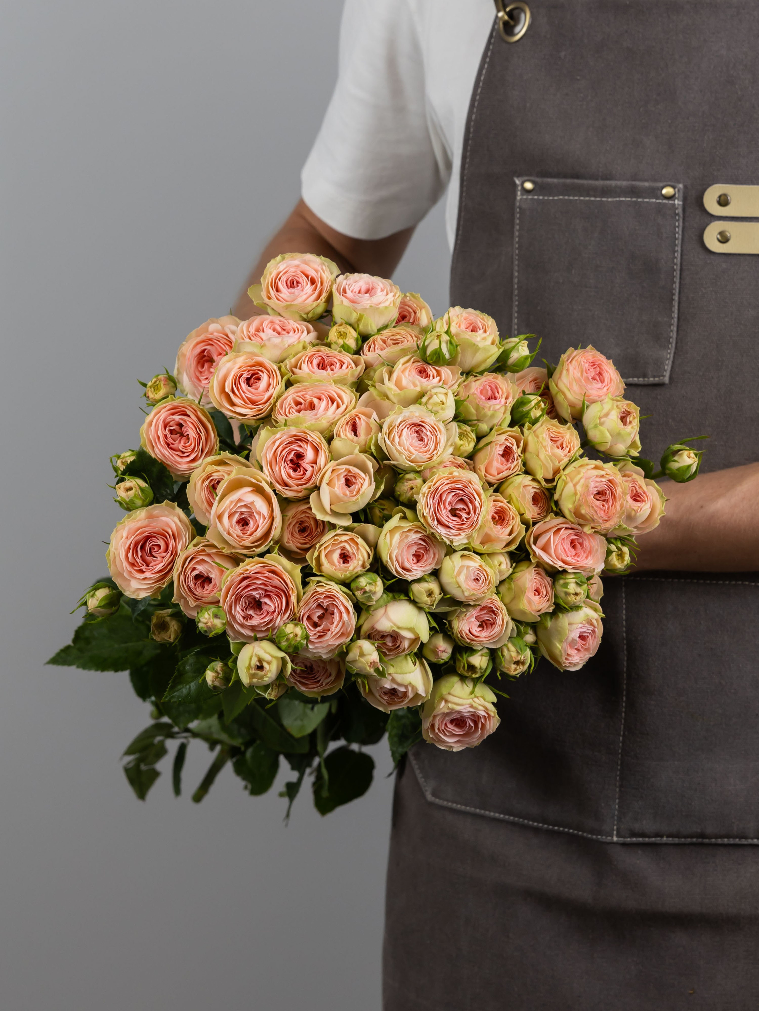 04.08.2025 Фотосессия сортов Цветополис. ФОТОГРАФ ВИНОГРАДОВА ДАРЬЯ