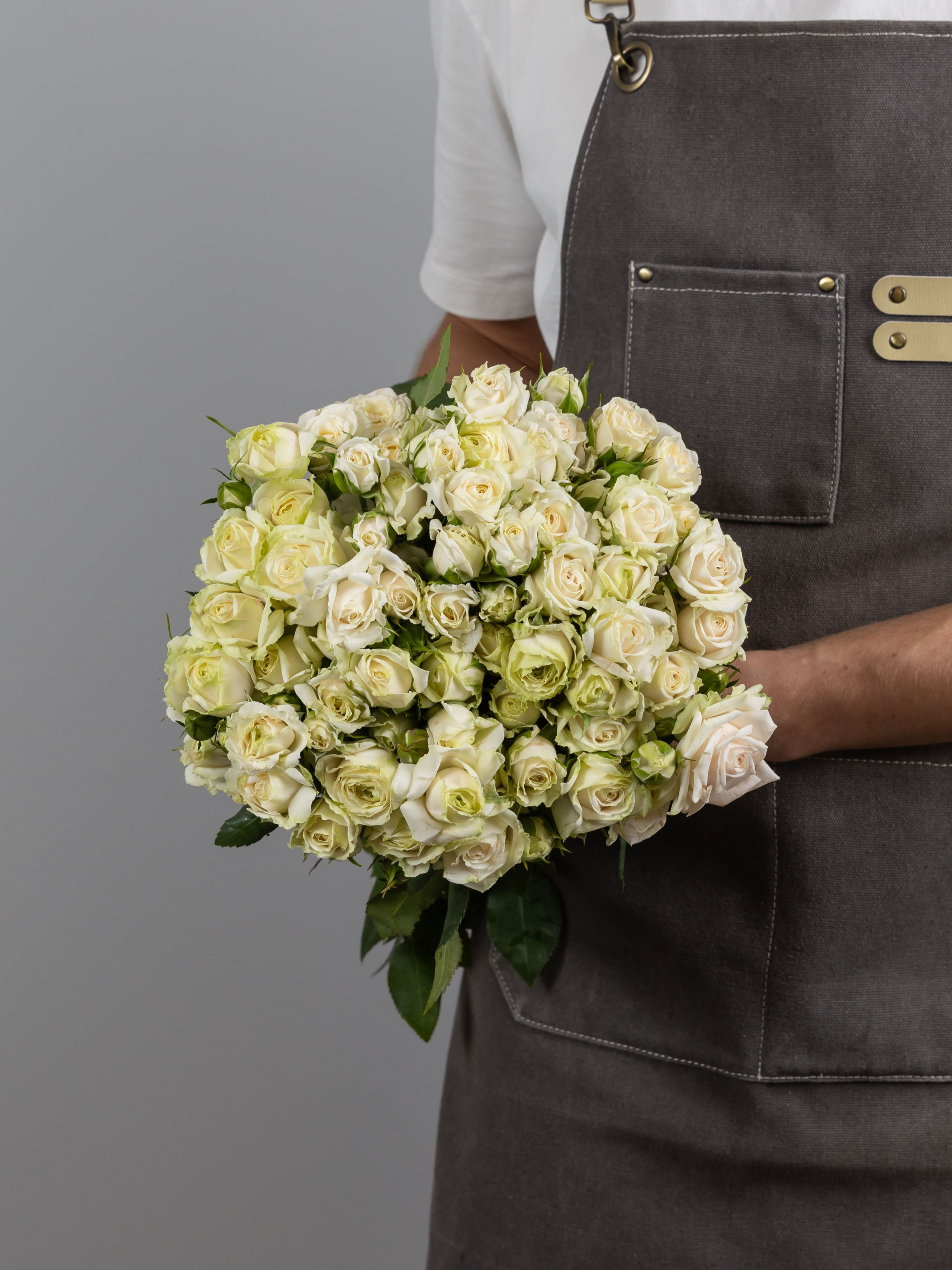 04.08.2025 Фотосессия сортов Цветополис. ФОТОГРАФ ВИНОГРАДОВА ДАРЬЯ