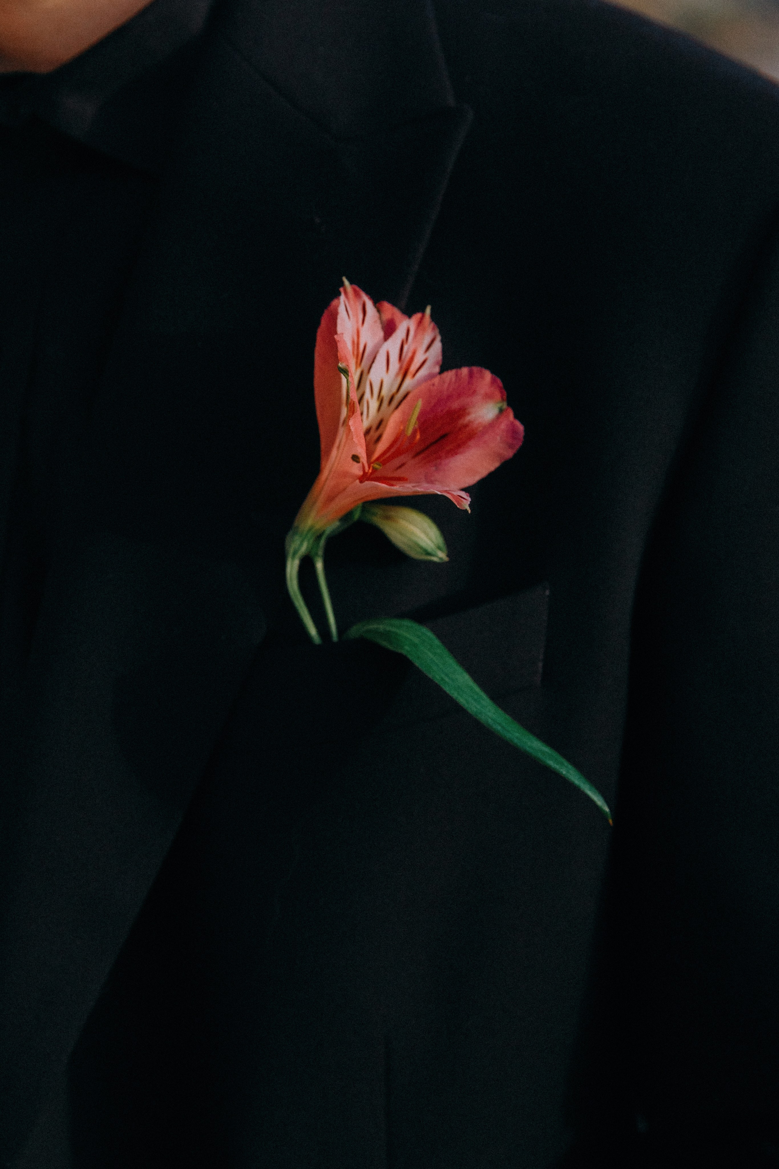 Свадебная фотосессия в Гареджийской пустыни в Грузии. Свадебный фотограф Грузия Тбилиси