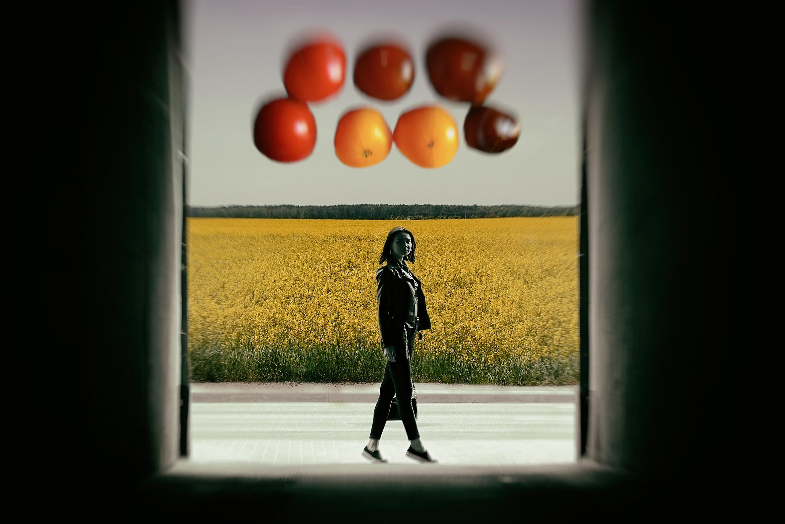 картина, фотокартина, картина в Гомеле, painting, canvas