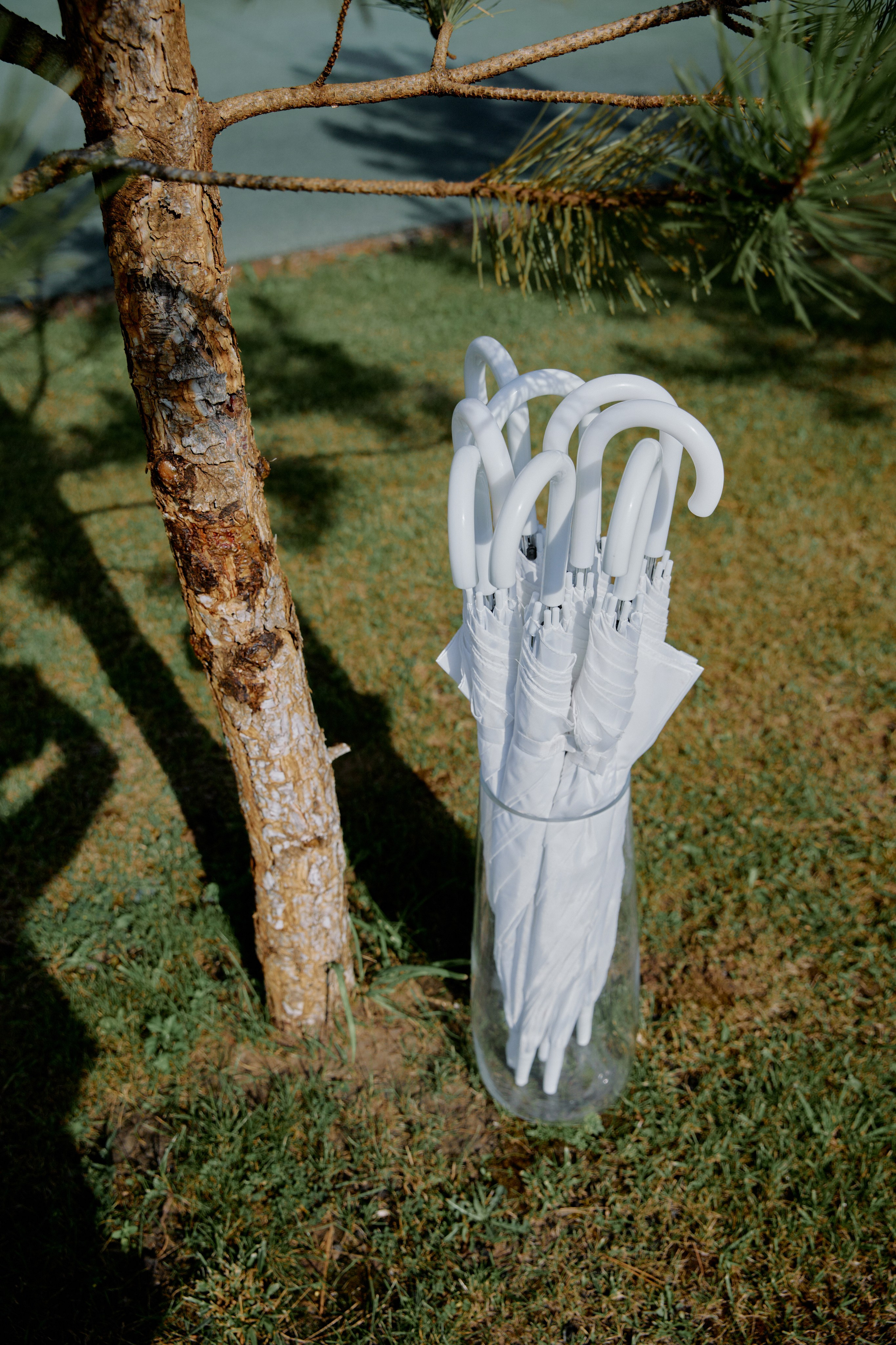 95 градусов по Фаренгейту. Фотограф Елена Краснопевцева