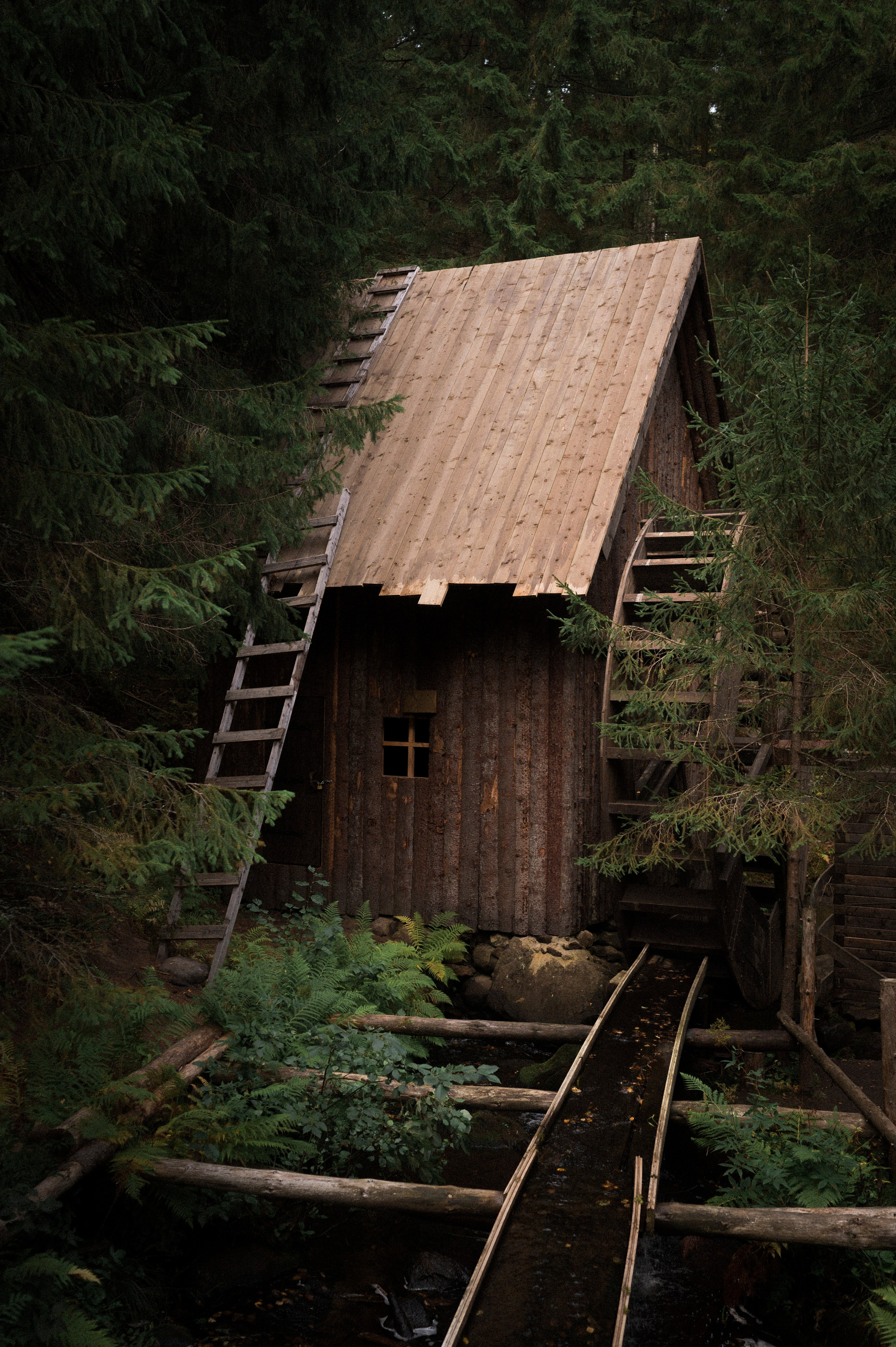 North 2024. Kartascheff