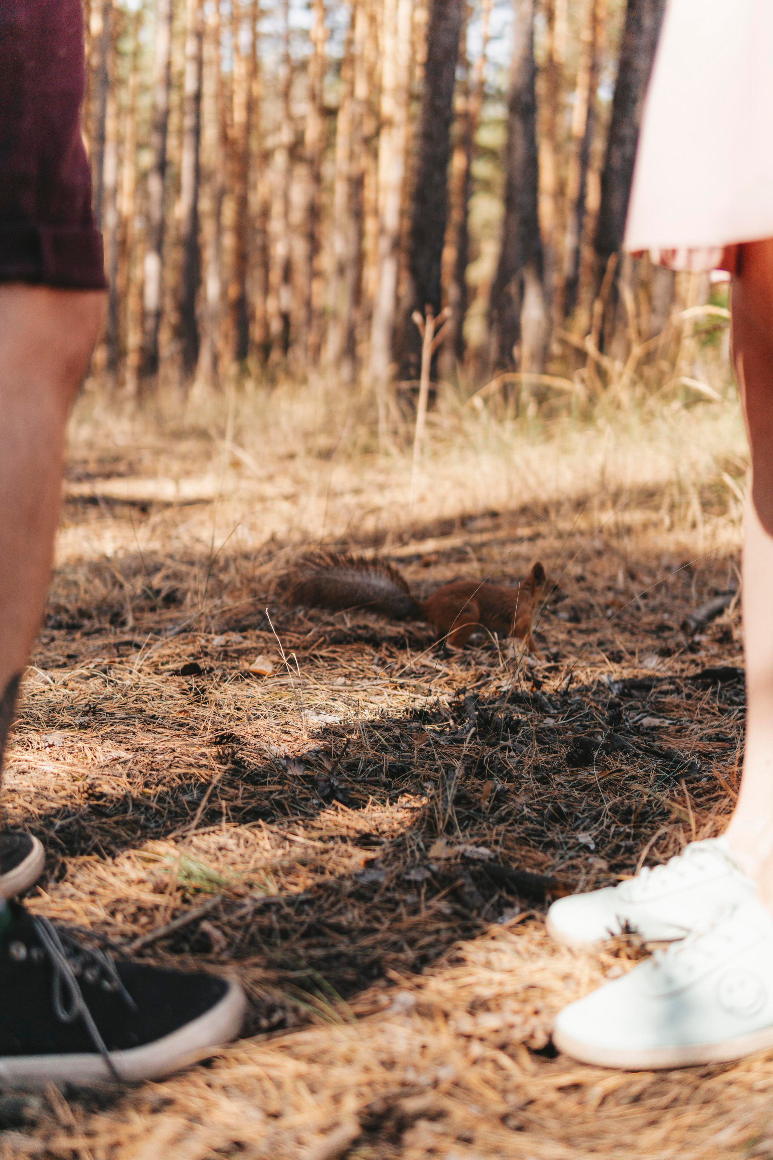 Дмитрий и Вита | LoveStory. Фотограф Карина Шмулёва. Воронеж и область