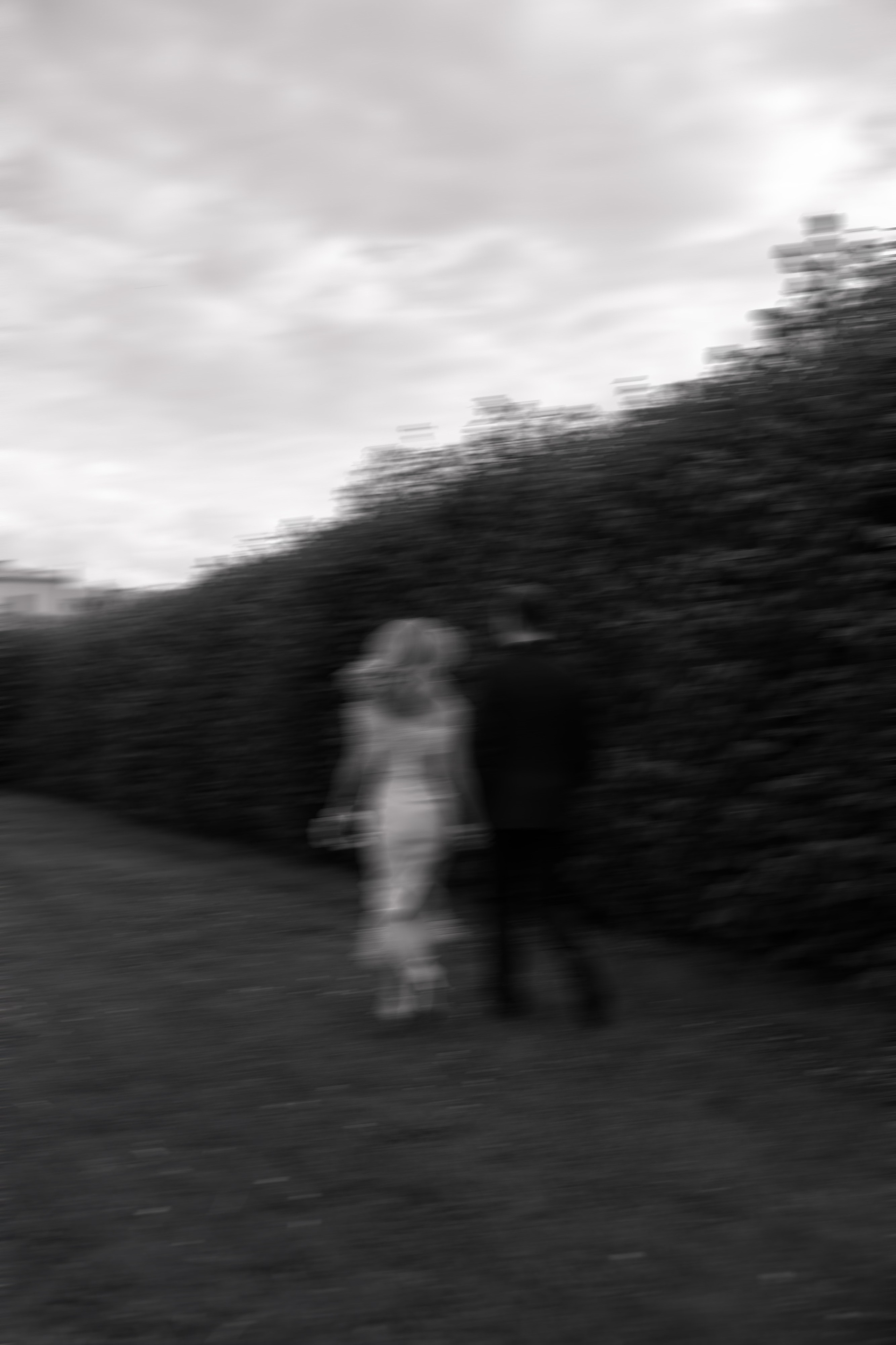 Алексей & Ольга