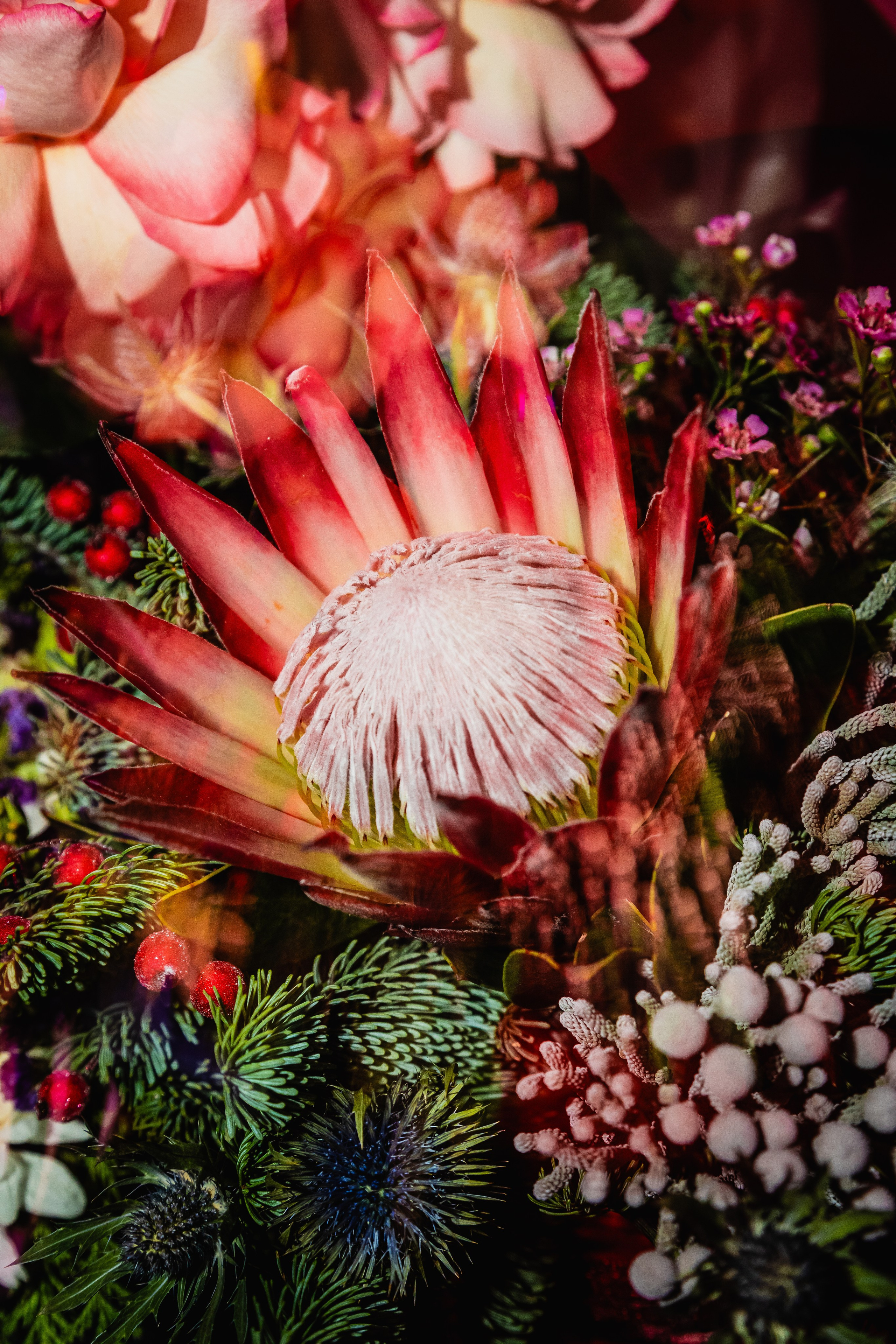 BUDDHA BAR. Главная