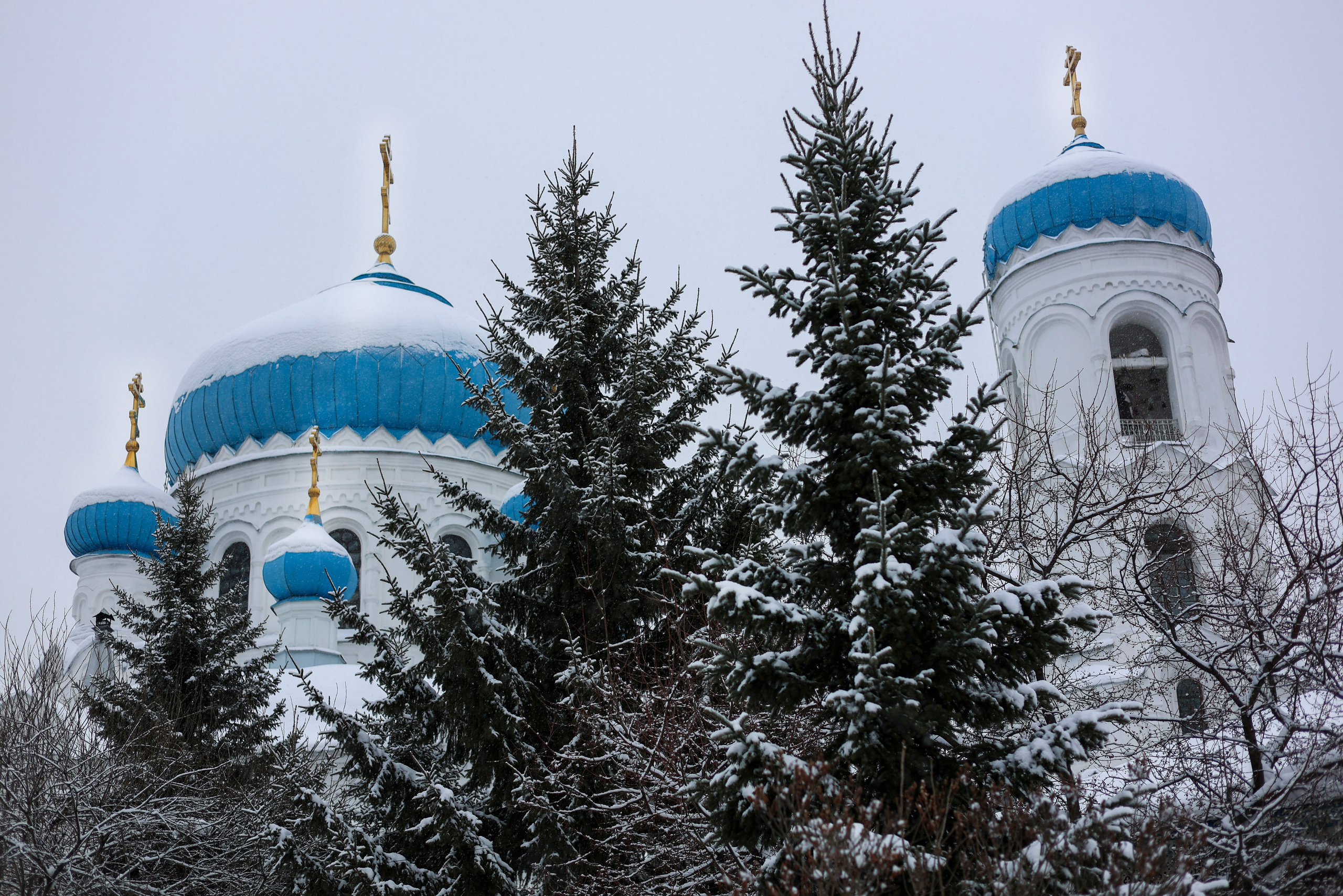 Зимняя фотосессия. Анастасия Рогозина|Фотограф Бийск, Горно-Алтайск, Белокуриха