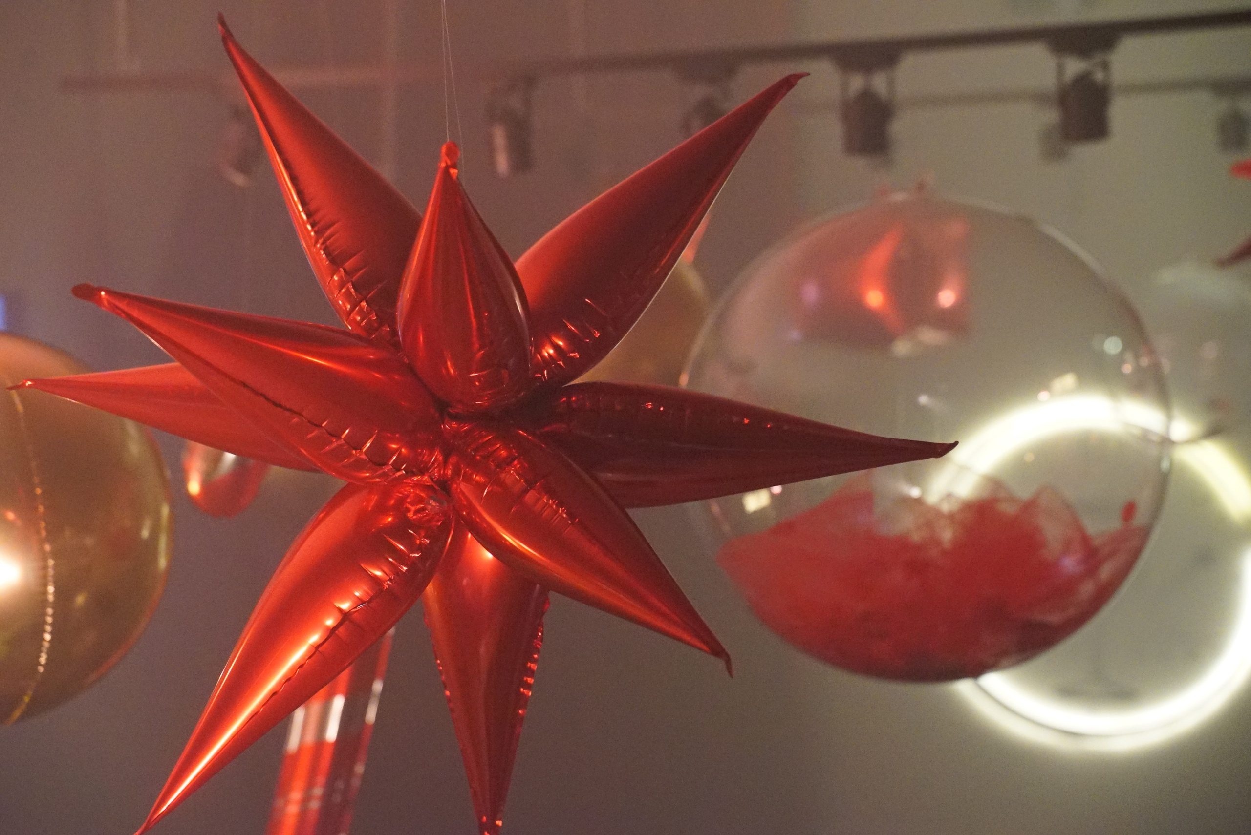 День рождения Екатерины. Mariage