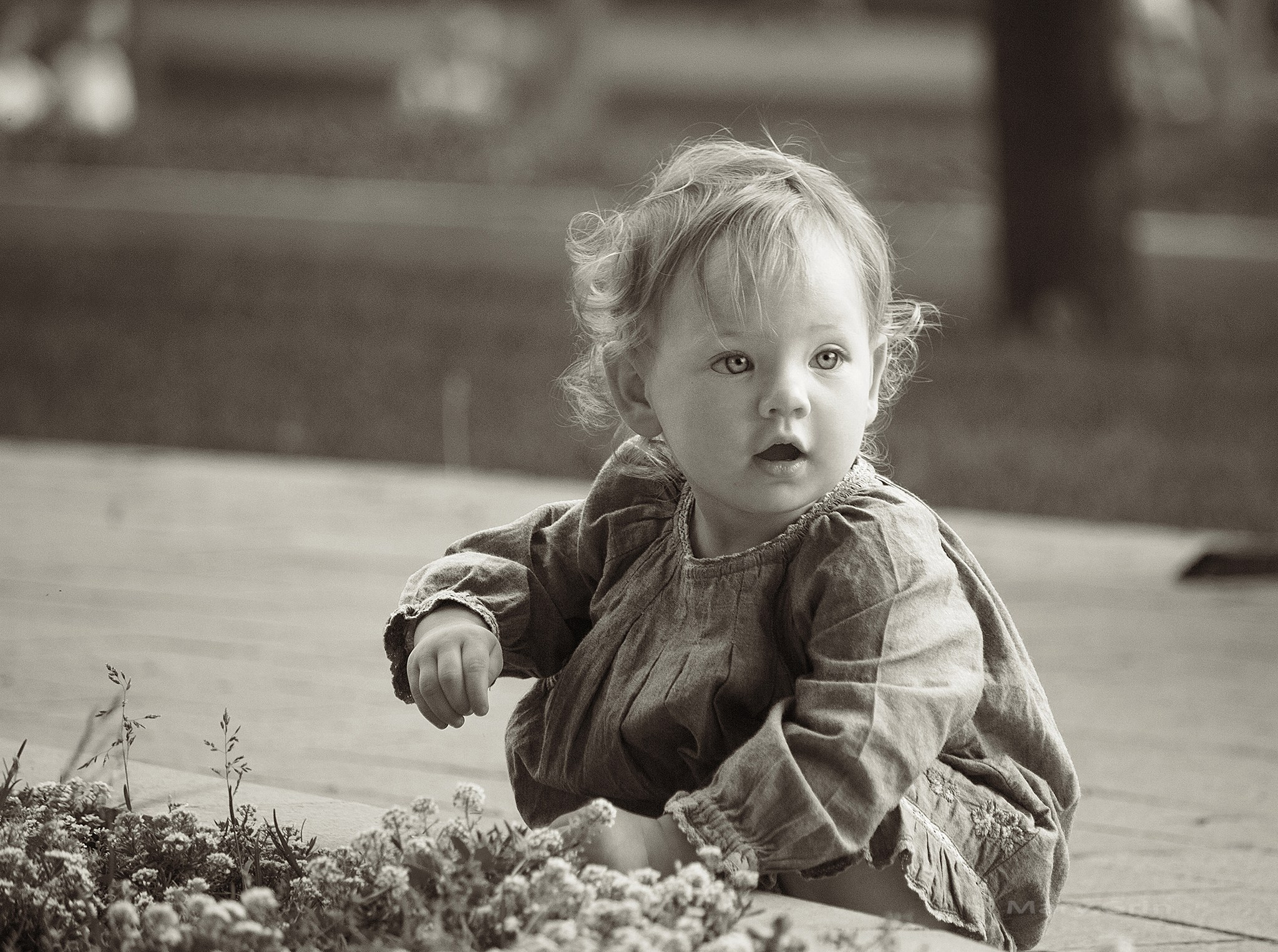 Семейная фотопрогулка в Кремле. Детский и семейный фотограф, фотограф мероприятий Нижний Новгород