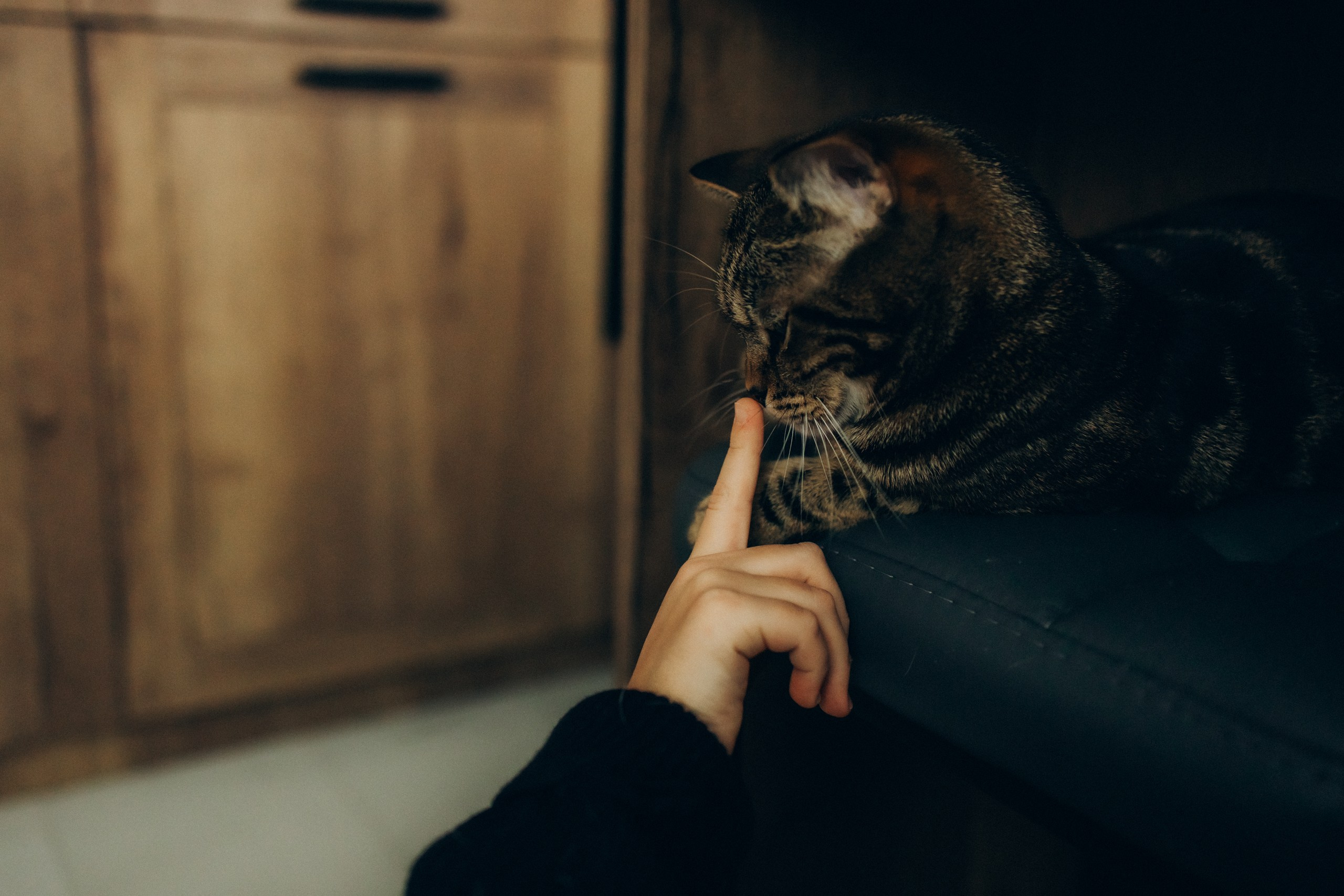 Руслан, Тимур и Луна. Семейный фотограф Москва