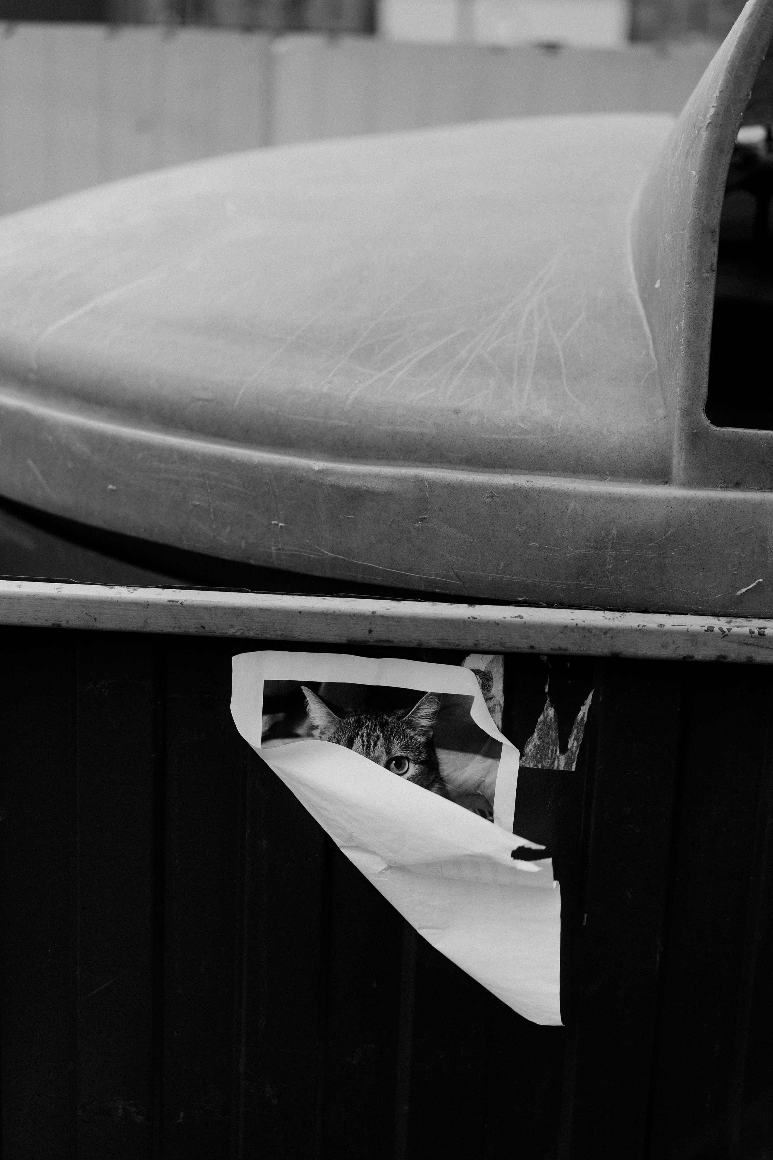 Зелёные горки. Veronika Popadeikina Photographer