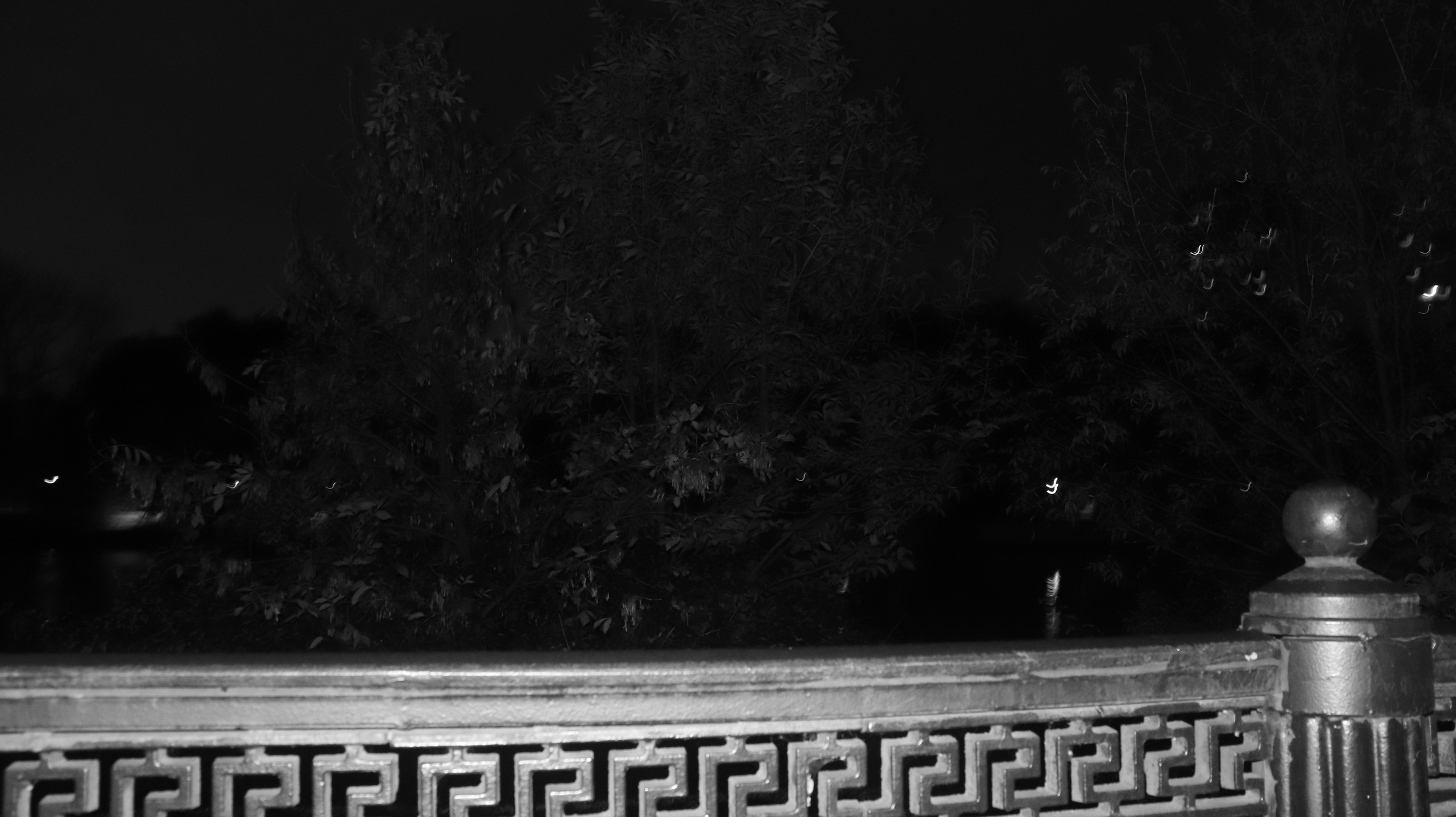 Здесь вы увидите все мои работы. Joseph Anton