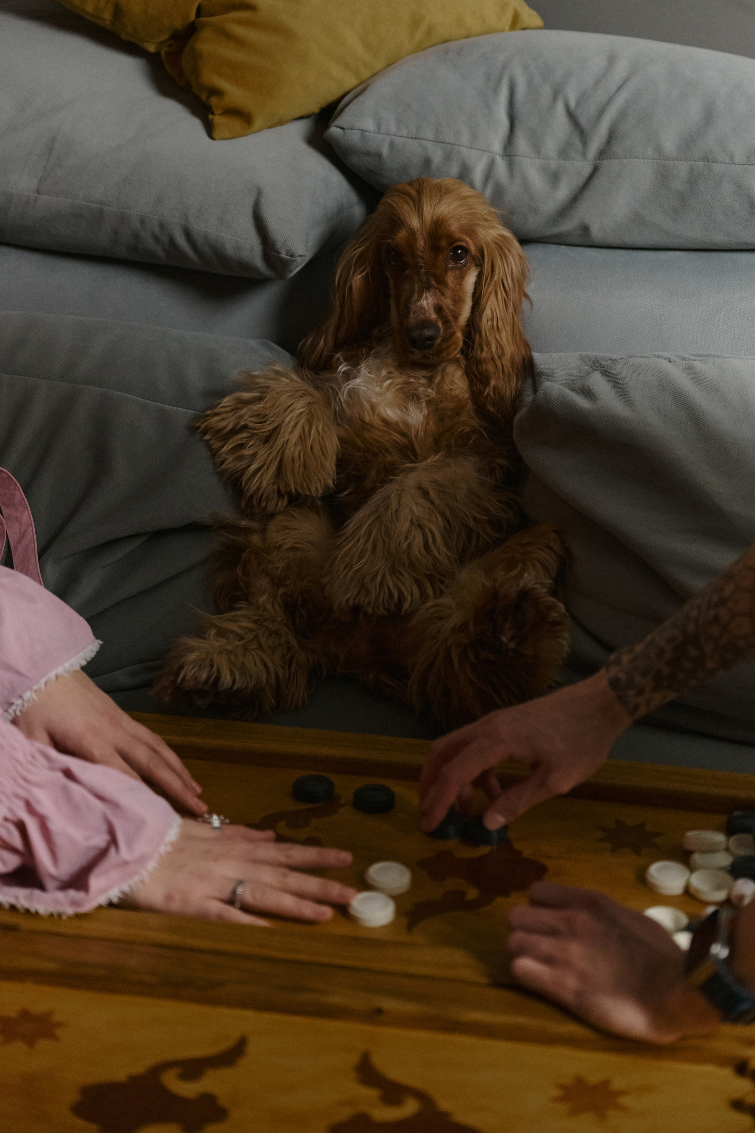 Егор и Аня. Свадебный фотограф МОСКВА, КРЫМ, СМОЛЕНСК АЛЯ КОНОВАЛОВА