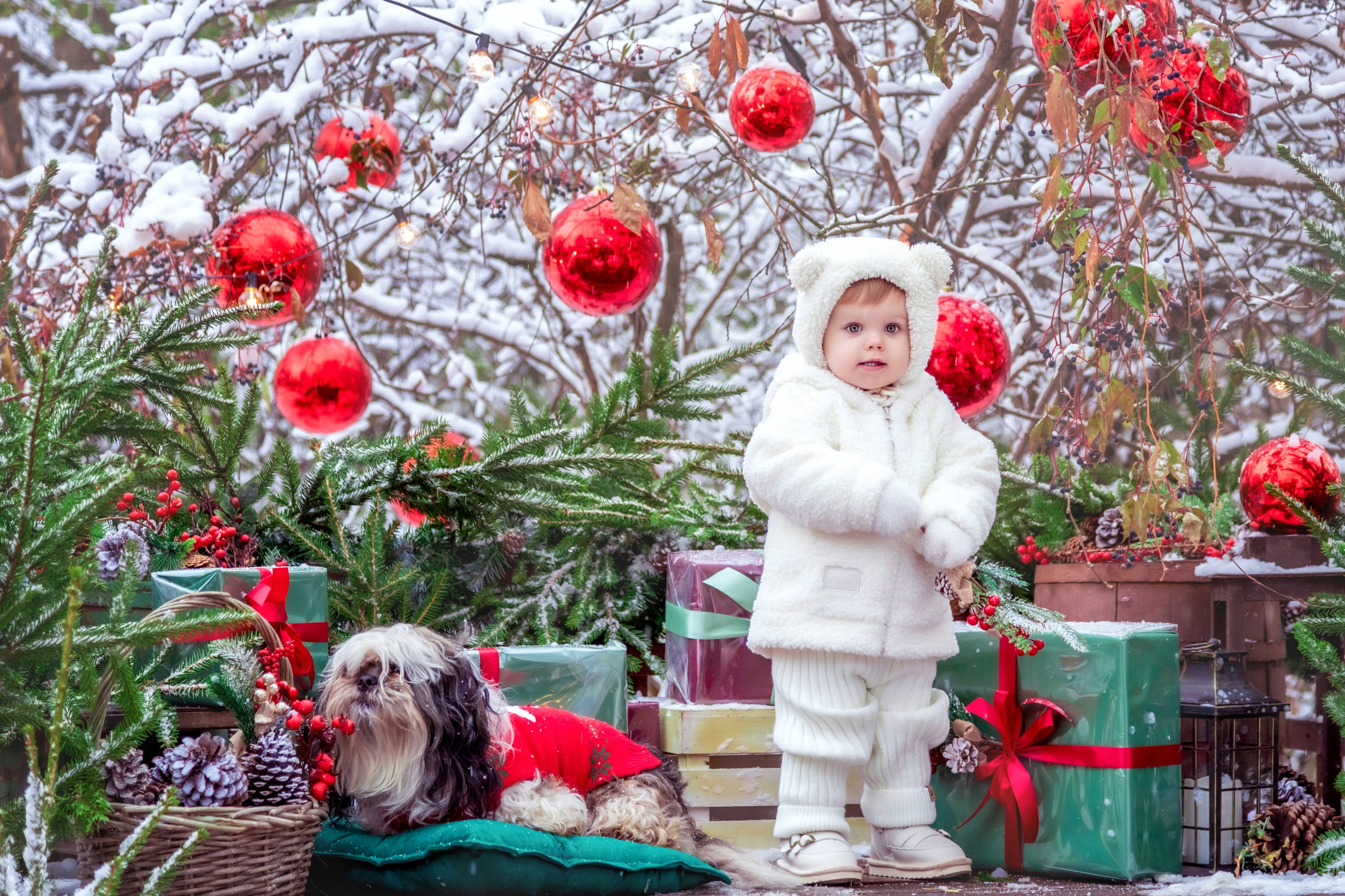 НОВЫЙ ГОД и Рождество УЛИЧНЫЕ локации. Фотограф Алина Лебедь