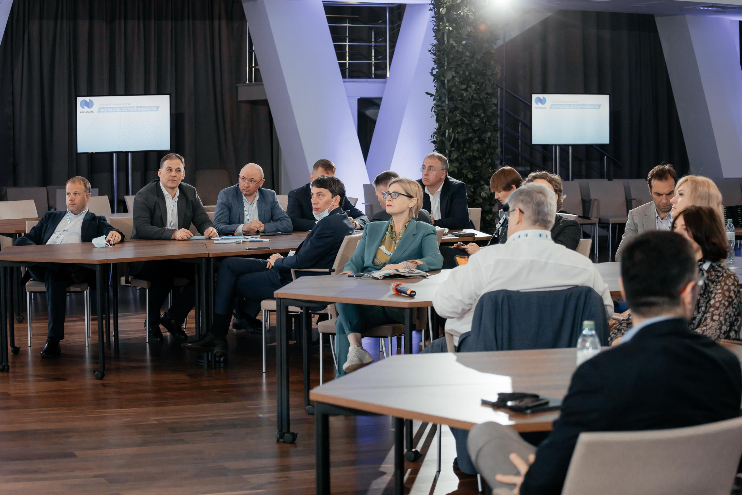 Норникель. Формула устойчивости