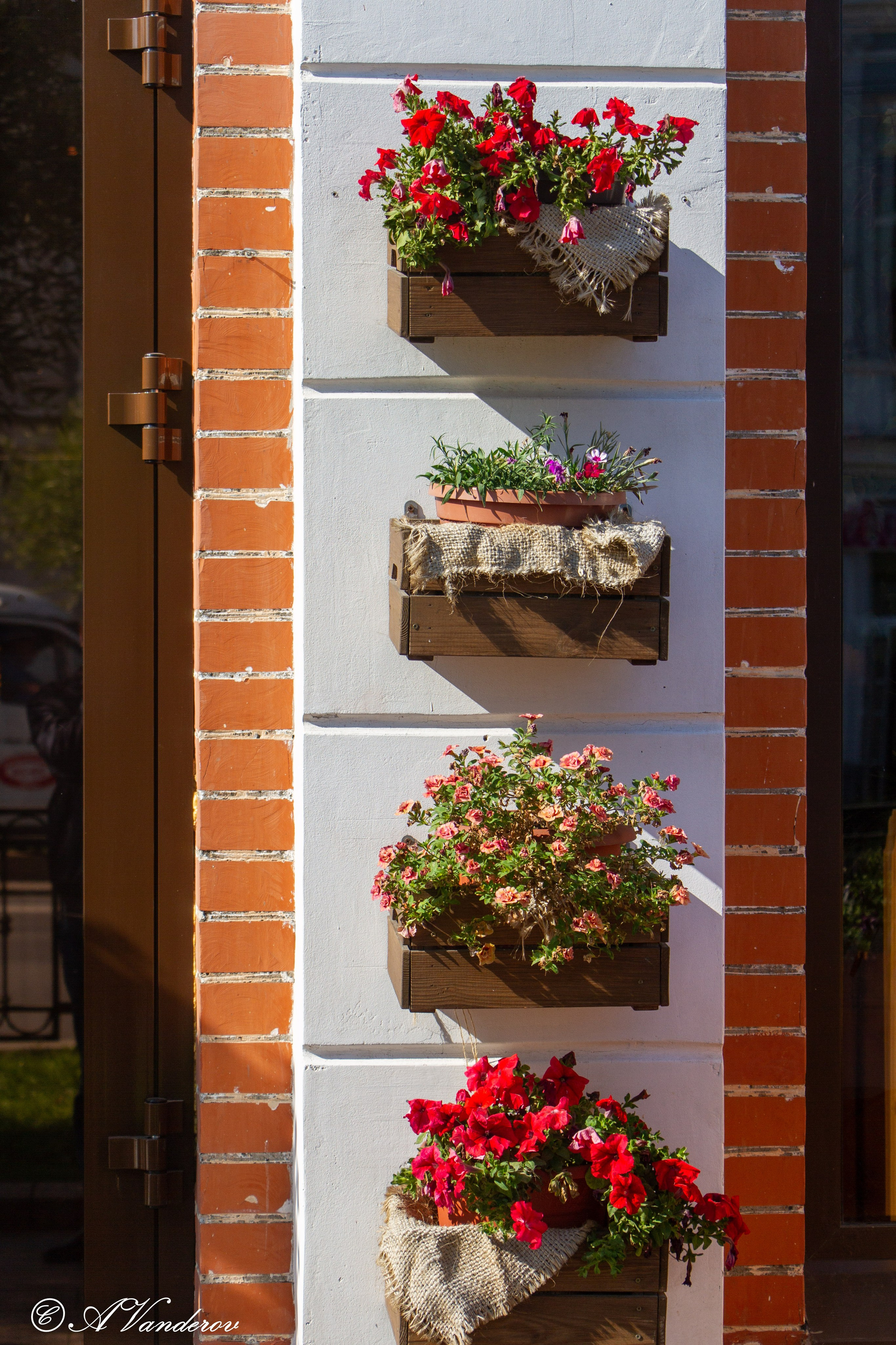 Омск 2023. Фотограф Омск | Александр Вандеров