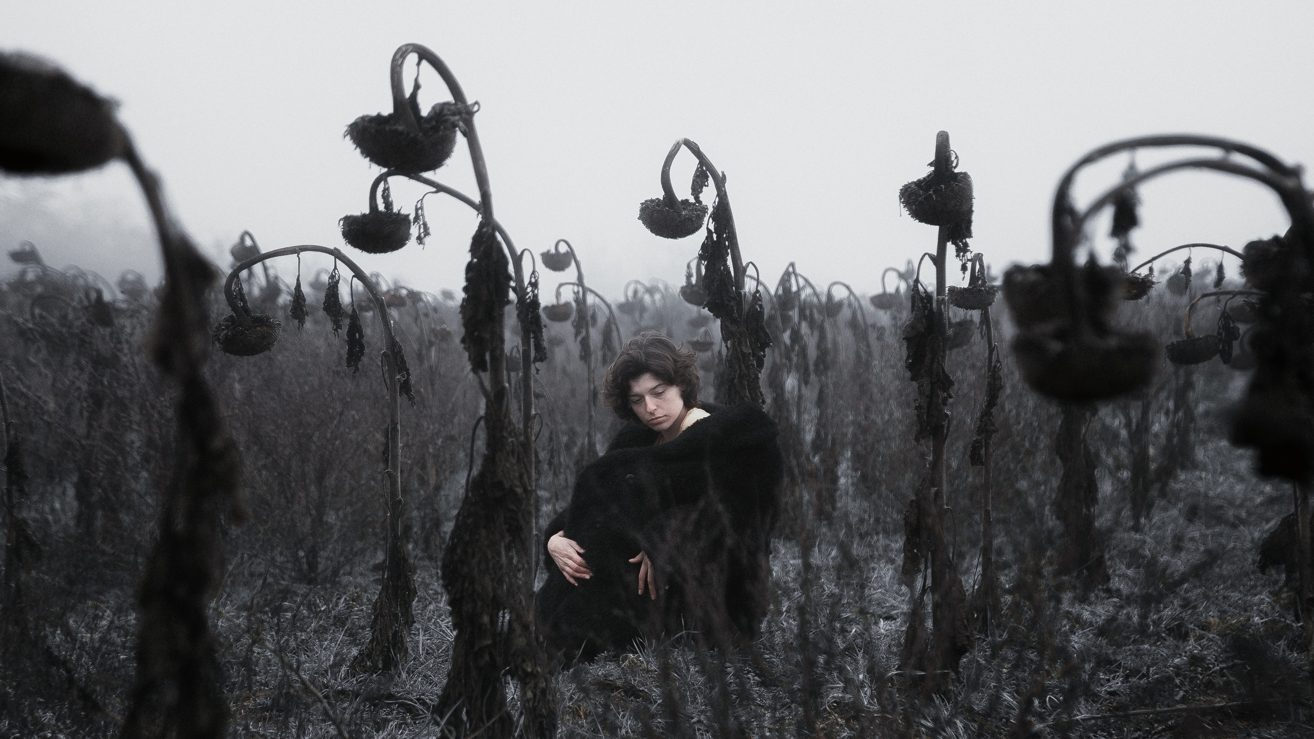 Фотограф Андрей Васильев | Краснодар, Краснодарский край