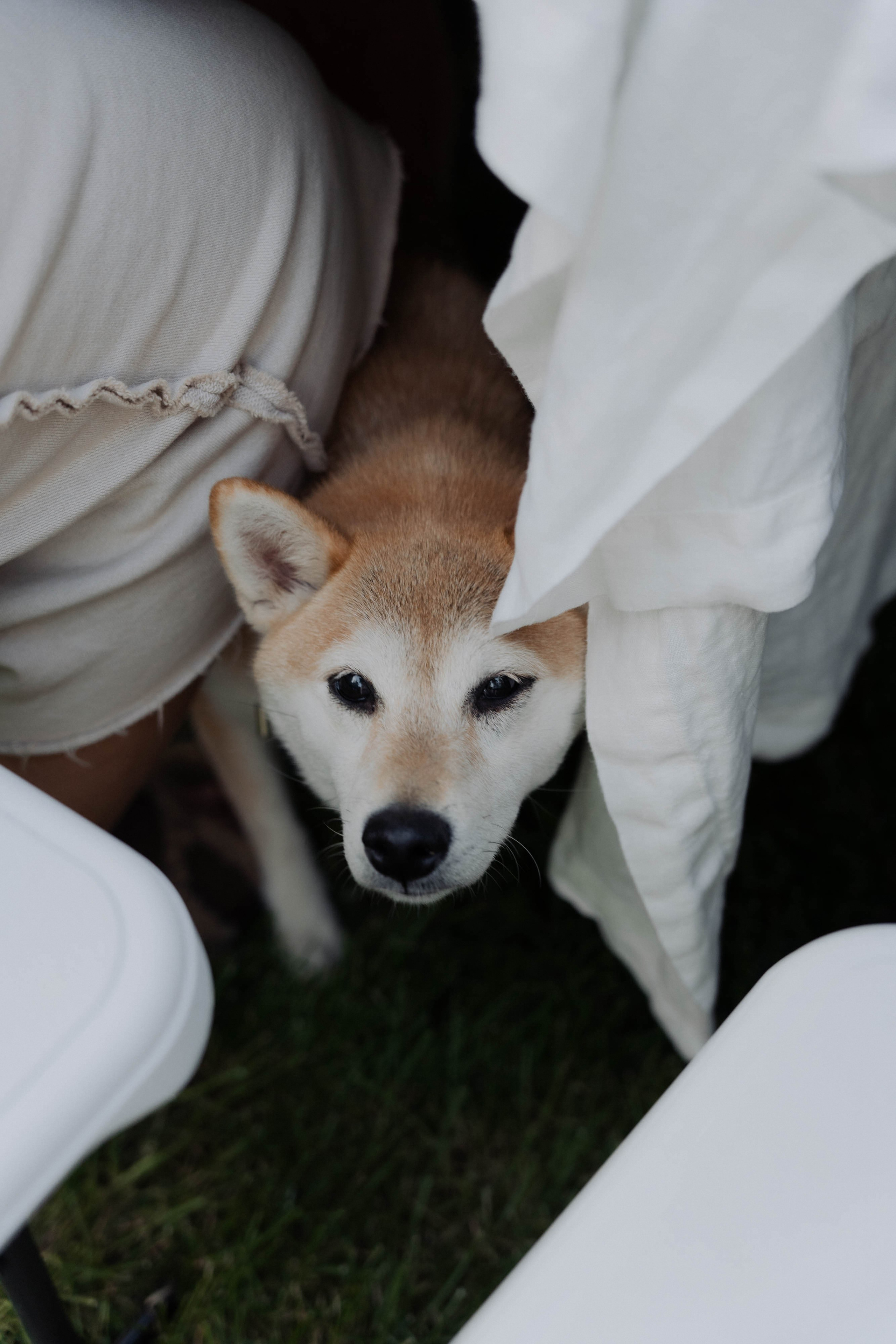 День рождения Марии. ФОТОГРАФ КСЕНИЯ СОСНОВСКАЯ