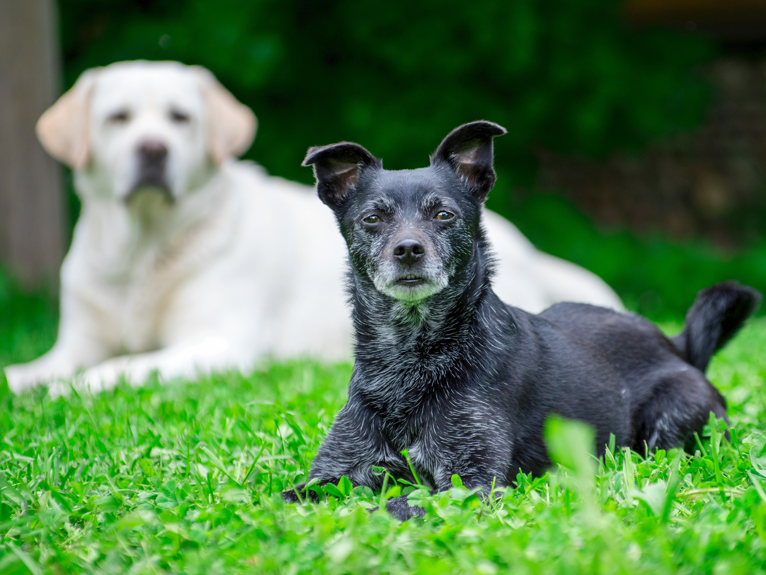 Истории. Фотограф Сергей Мосевнин