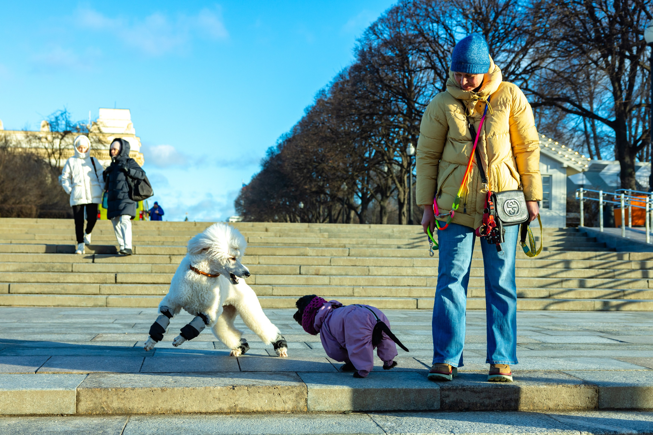 Клуб грумеров (прогулка и семинары). Виктория Зудина — фотограф в Москве