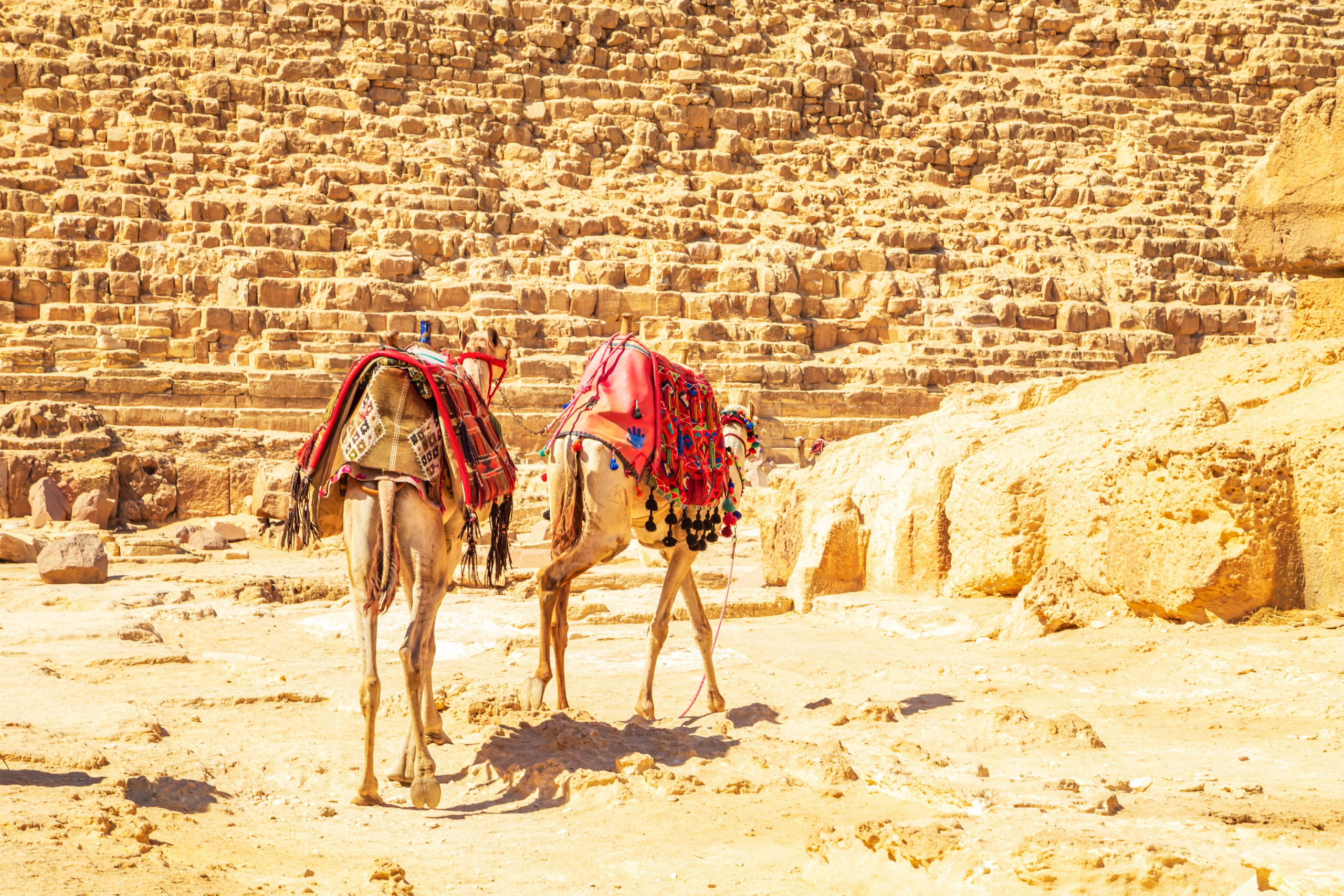 Египет. Тревел-фотограф Елизавета Ларионова